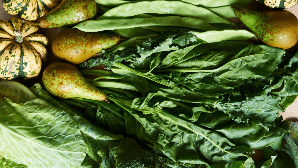 Image of Terms & conditions