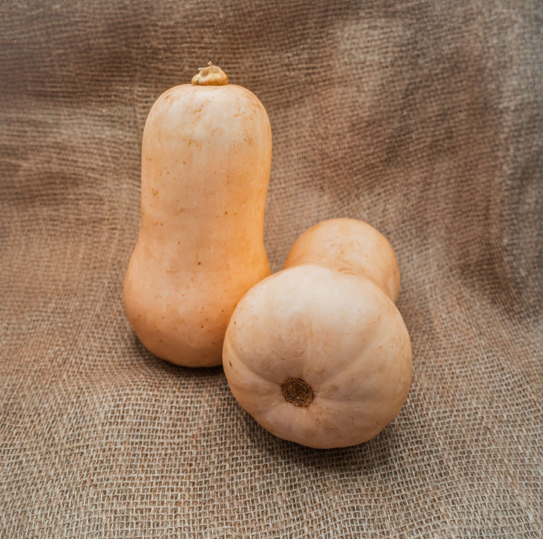 PYO Squash - Butternut