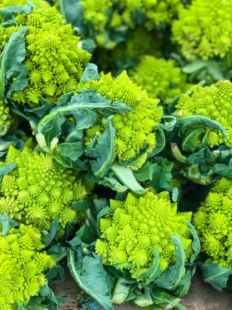 Cauliflower - Romanesco