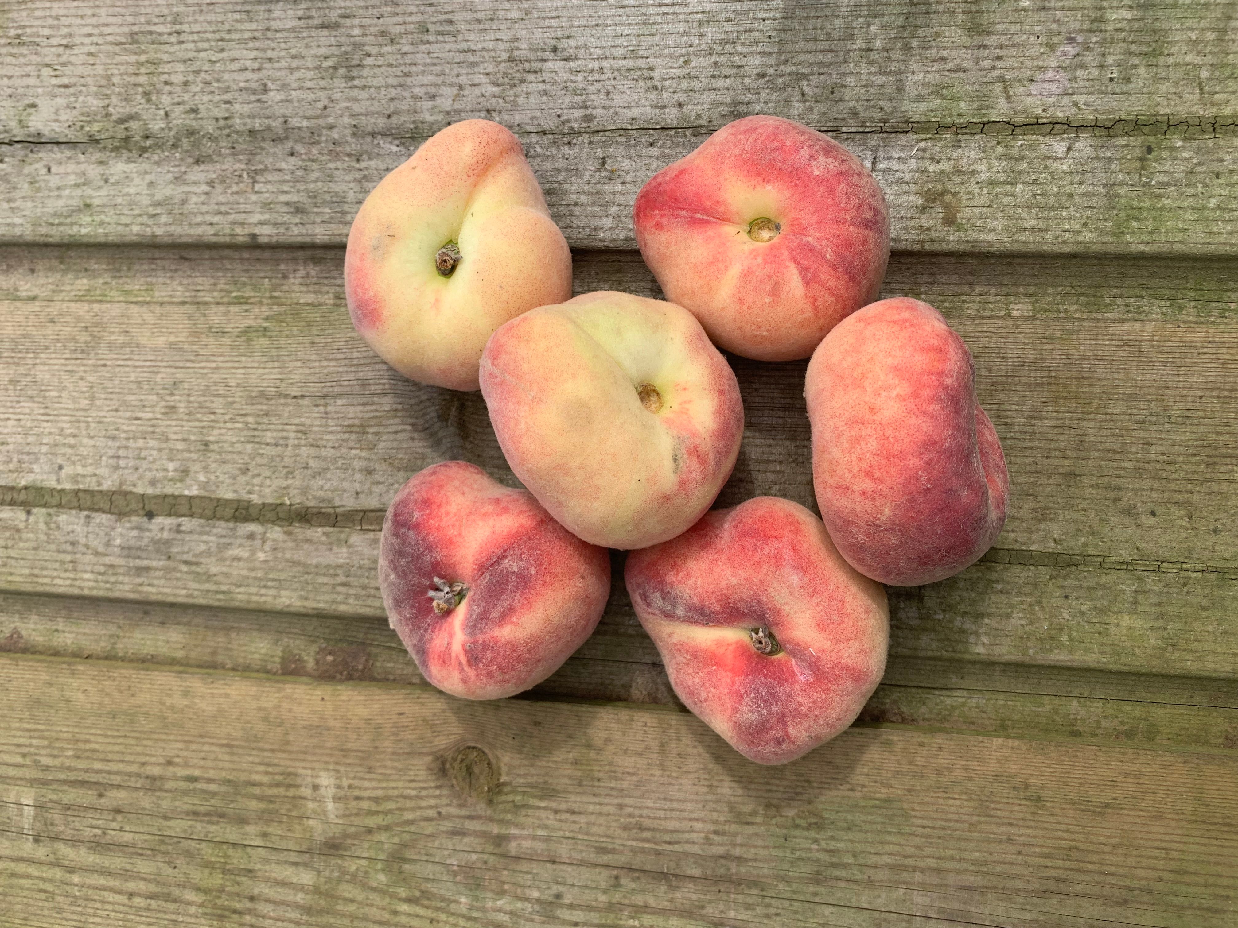 Image of Doughnut Peaches