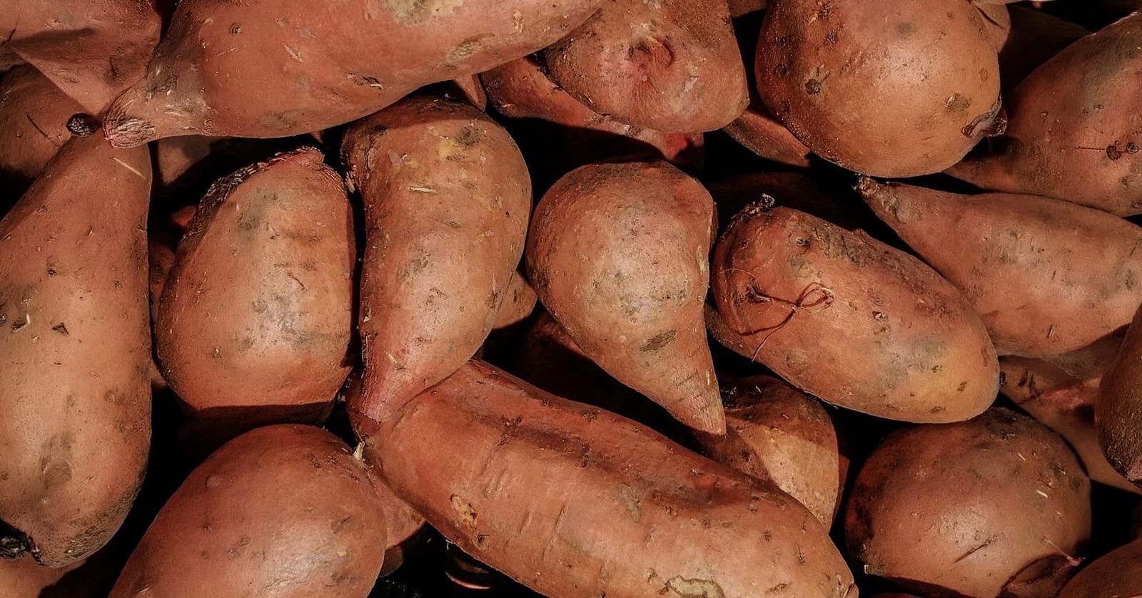 Image of Sweet Potato