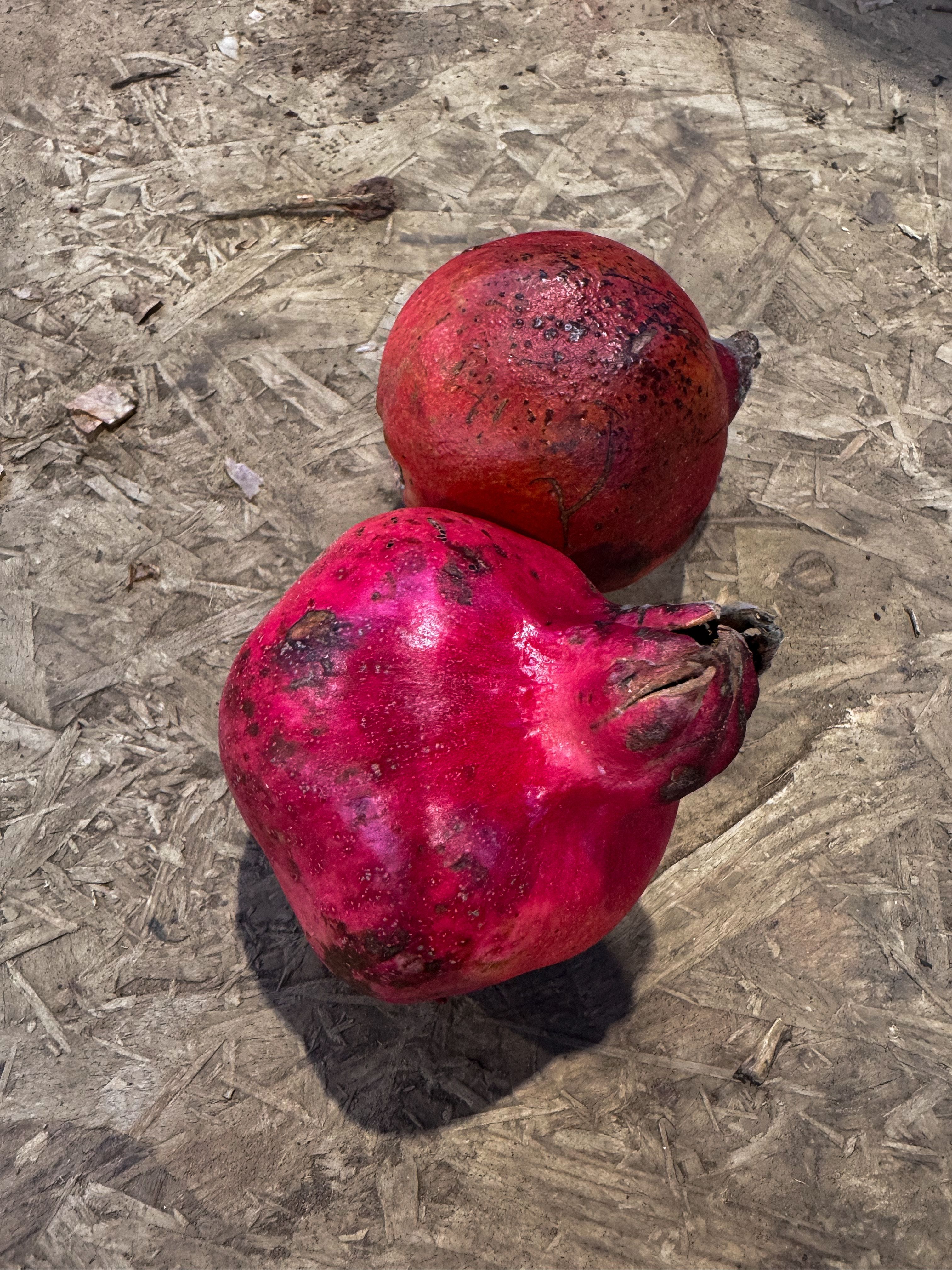 Pomegranate