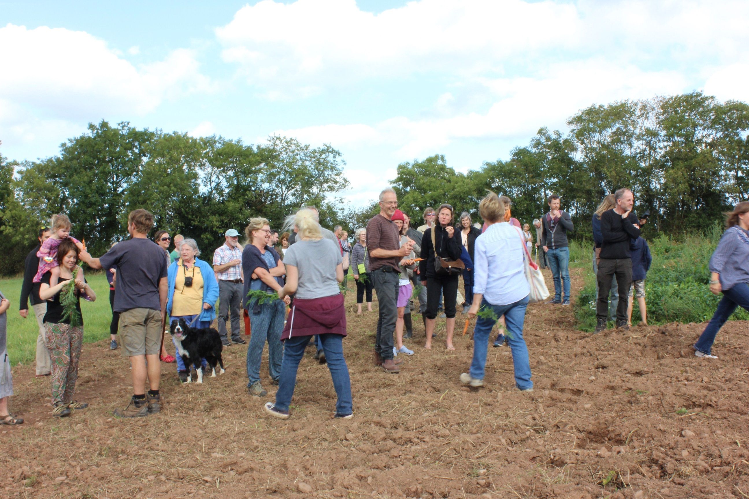 Image of Organic growers for 24 years