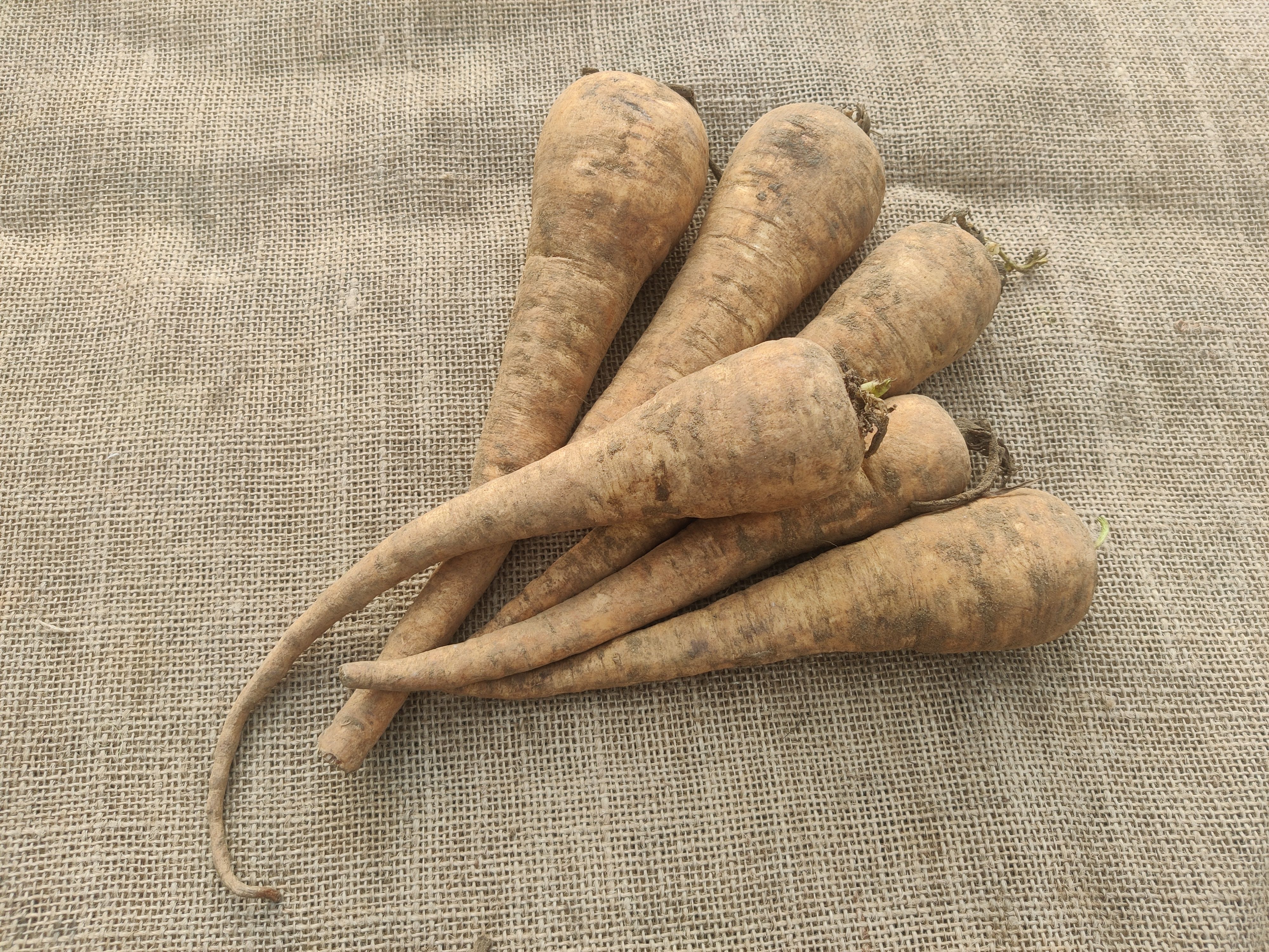 Image of Parsnips