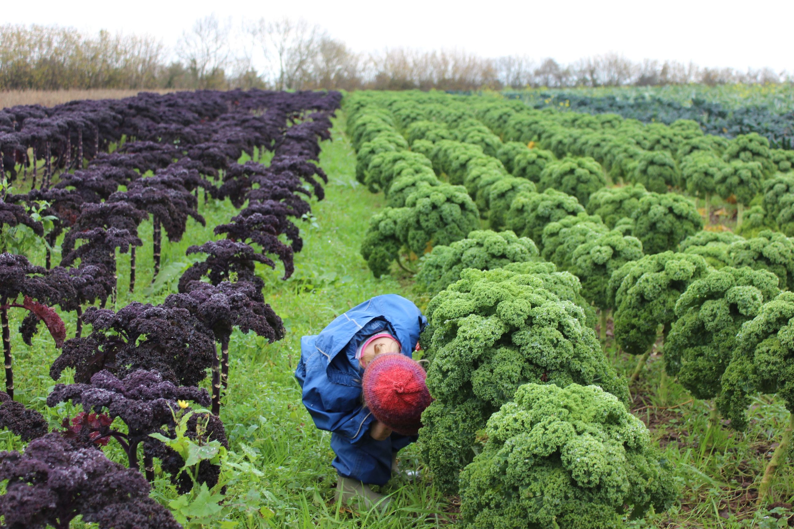 Image of How to find us