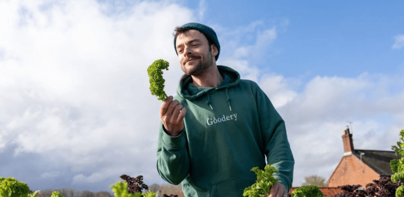 Image of The Local-local Organic Veg Box