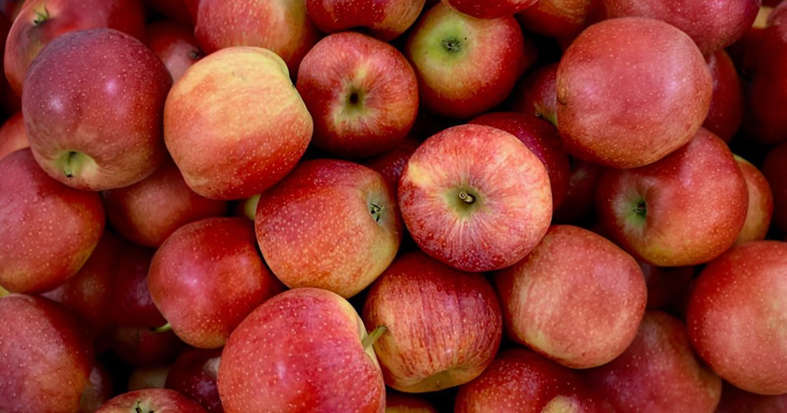 Image of Apples, Red