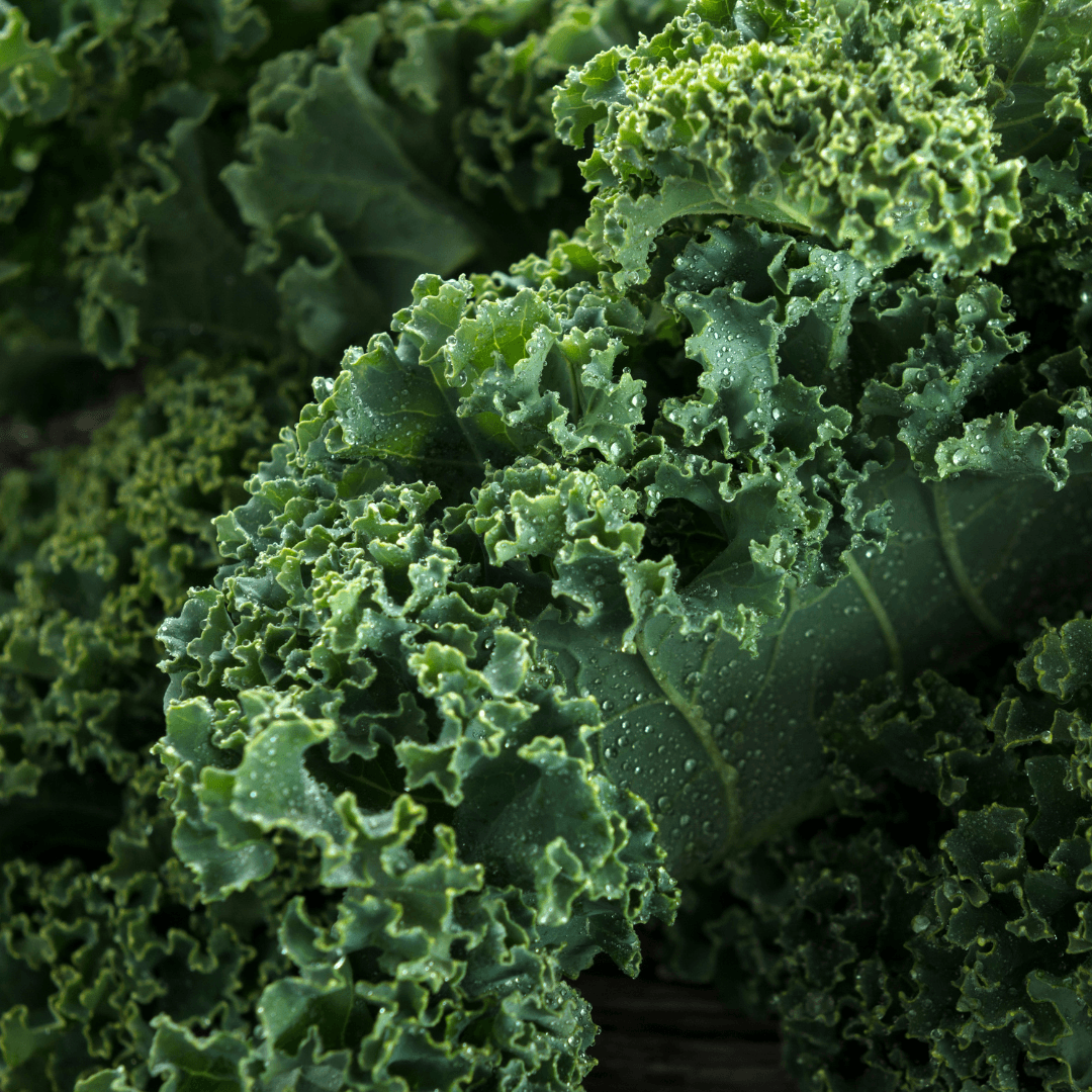 Kale (Organic)