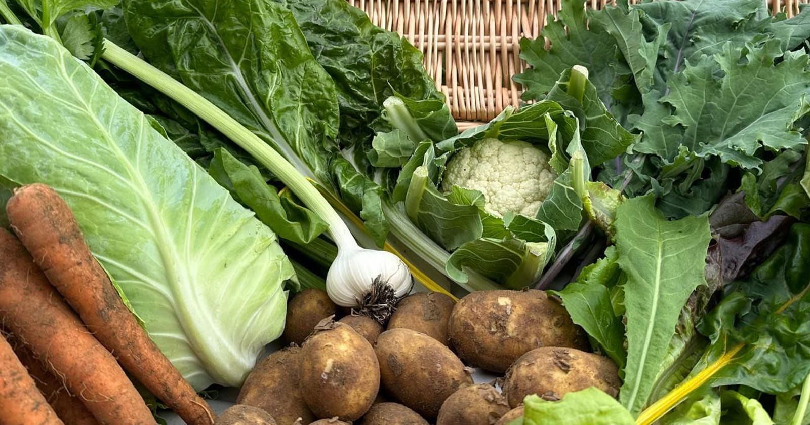Image of Organic UK Veg Box
