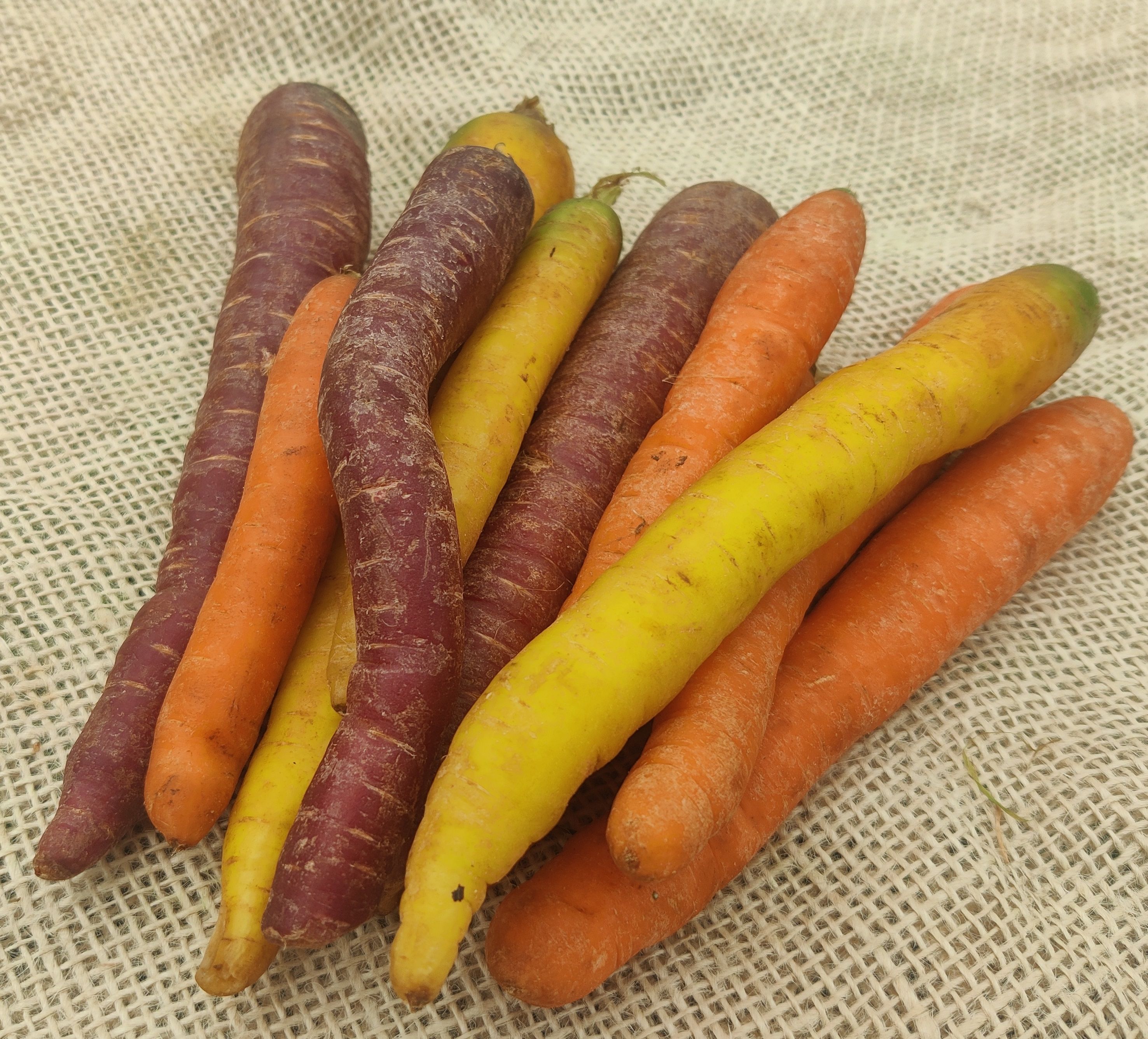 Rainbow Carrots