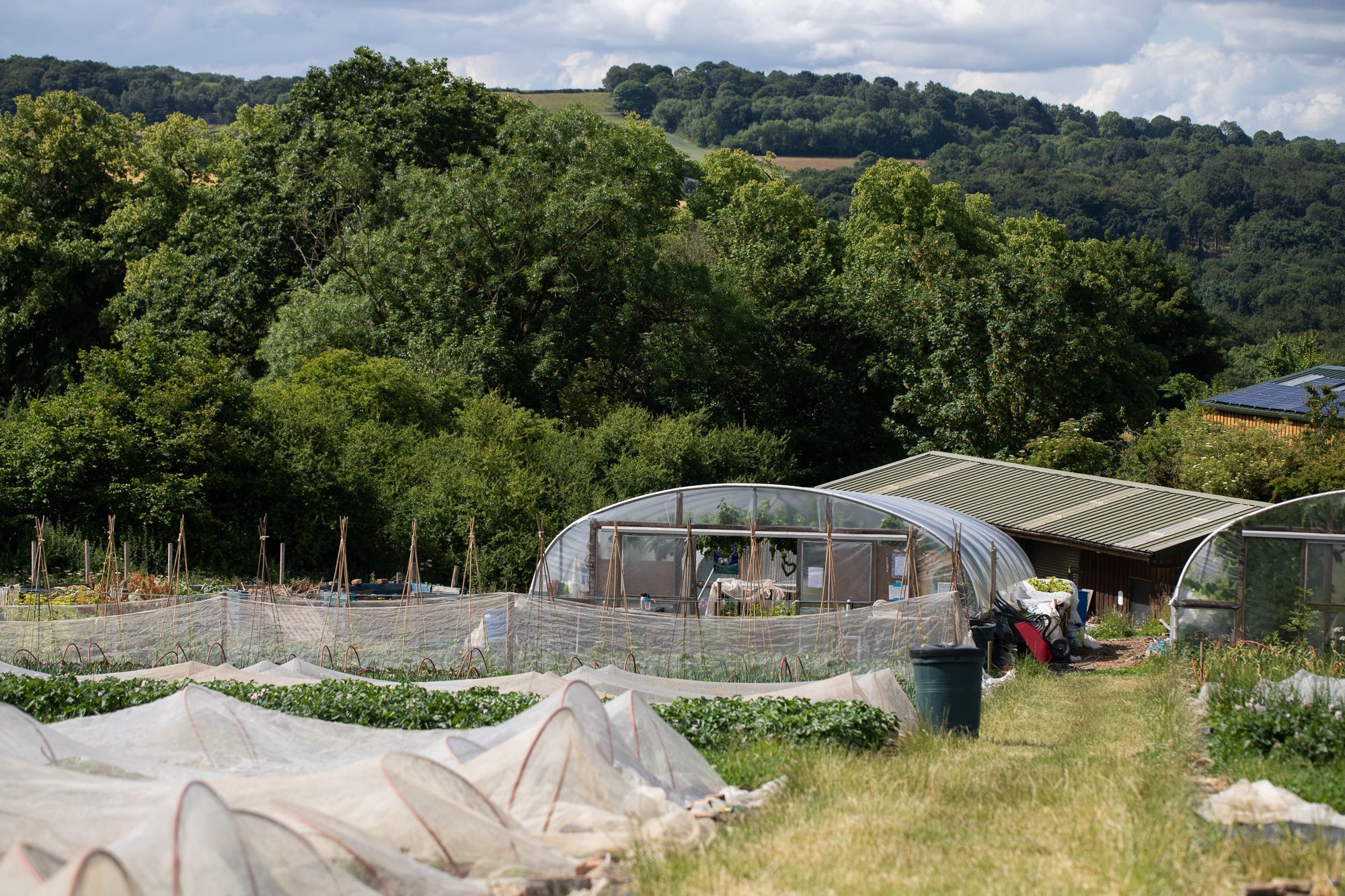 Image of Organic and Local 
