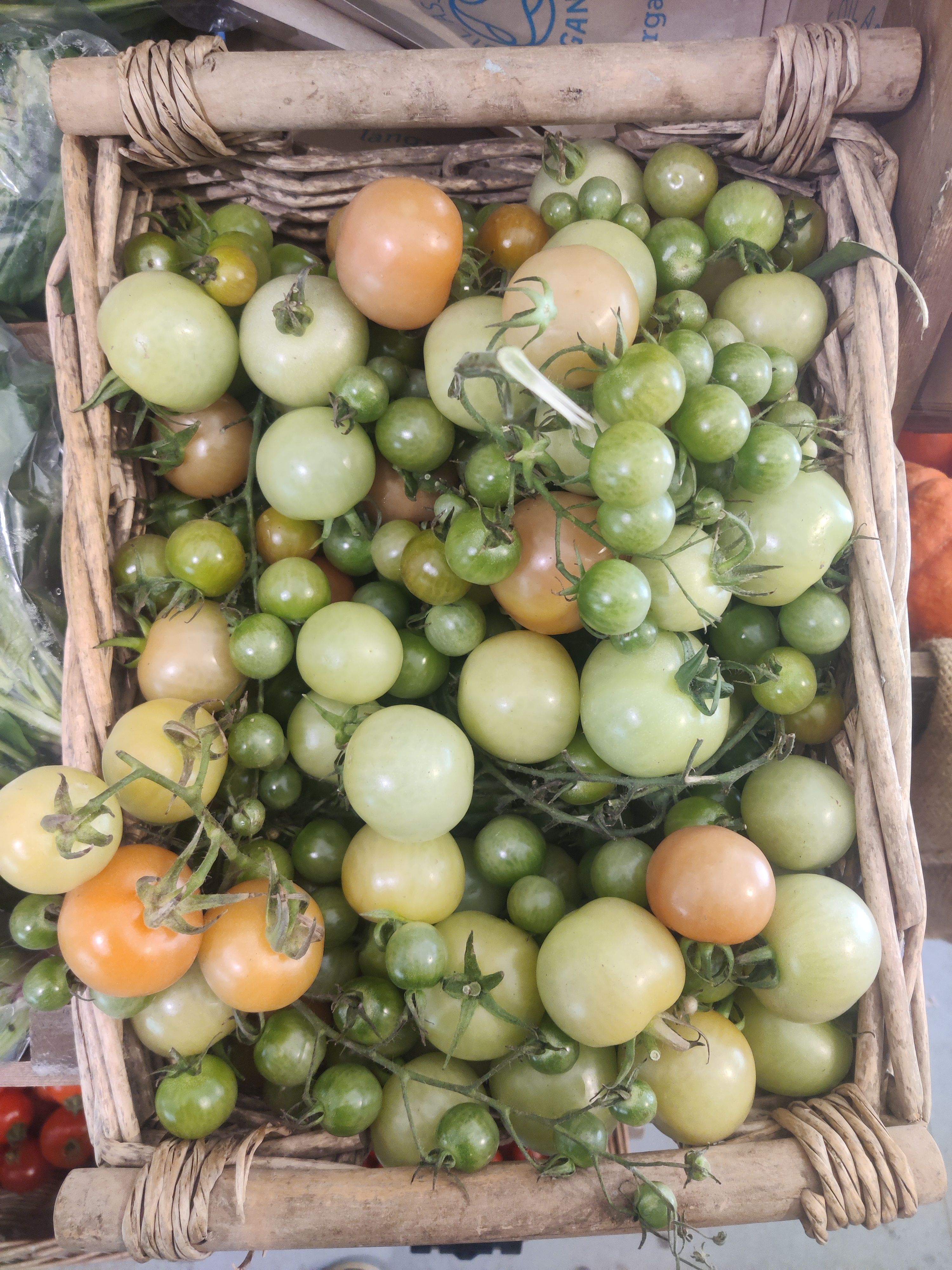 Green Tomatoes (Forty Hall Farm)