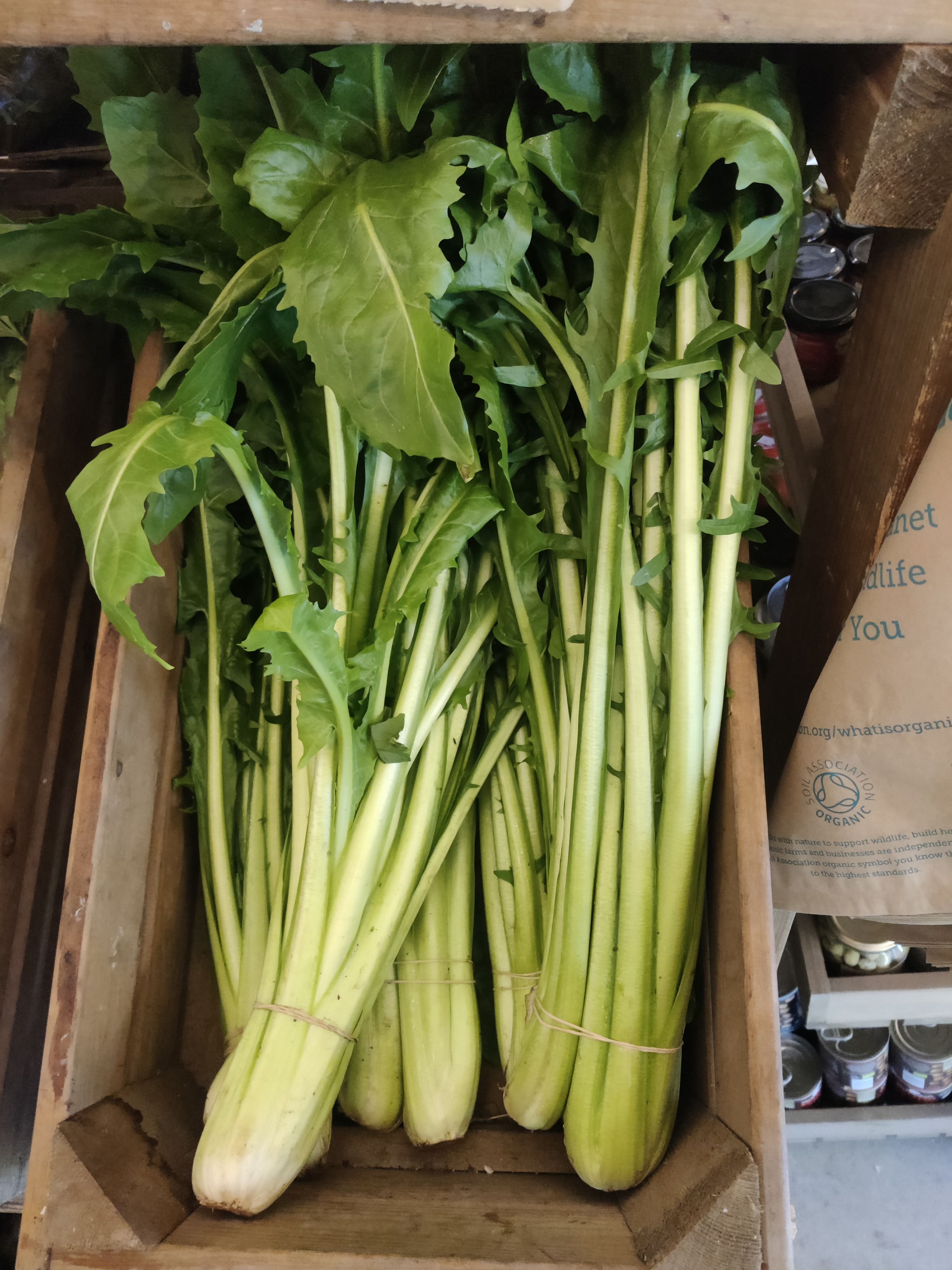 Image of Sautéed Chicory Greens, Southern Italian Style