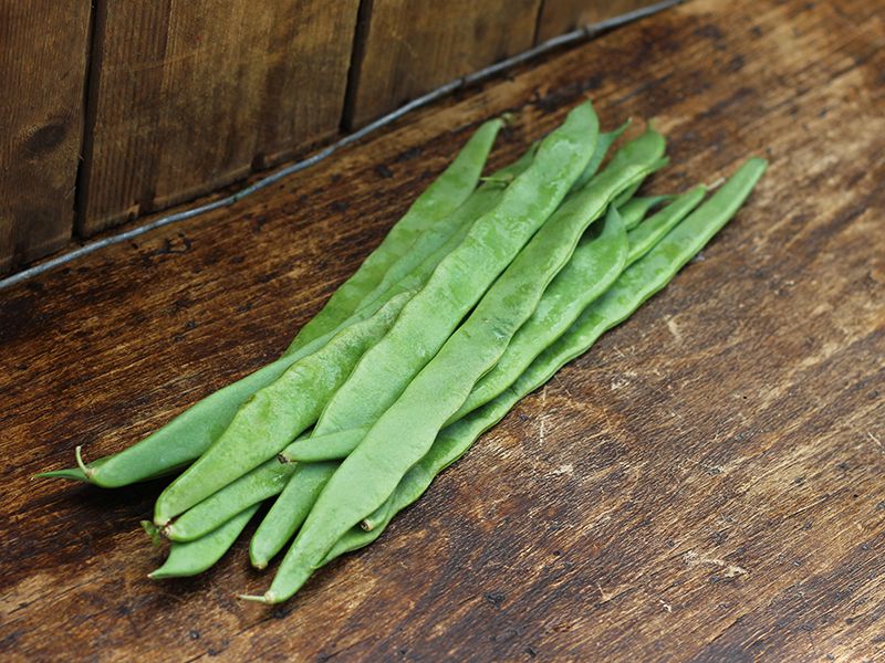 Flat Beans