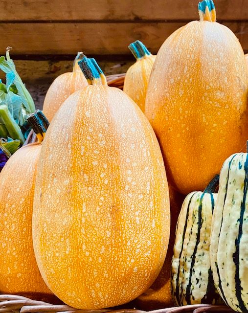 Image of Spaghetti Squash 'Chow Mein'