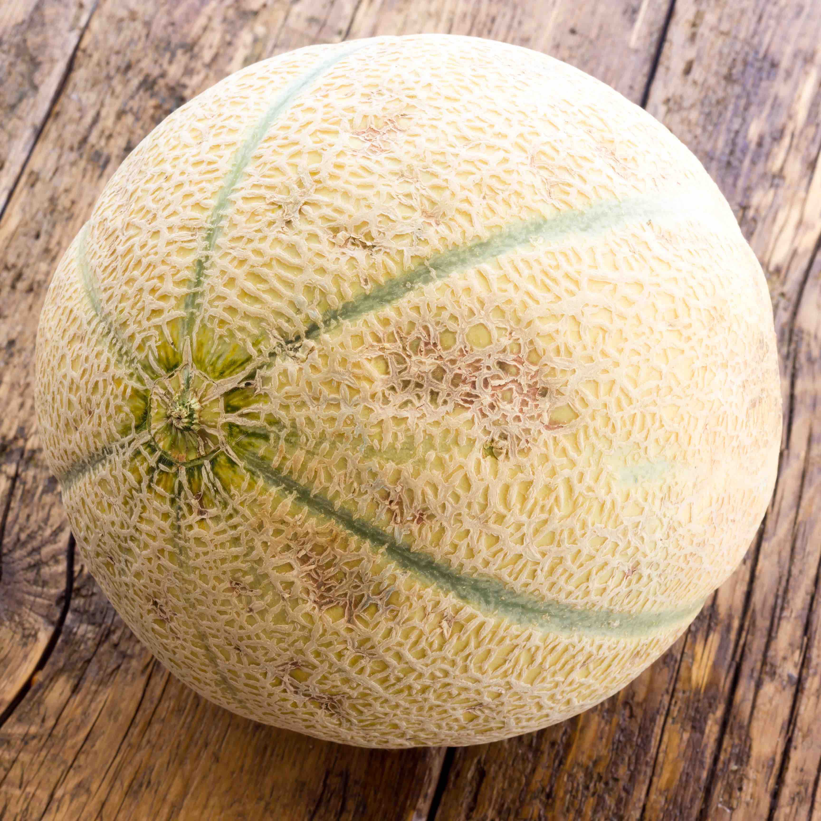 Melon 'Galia'