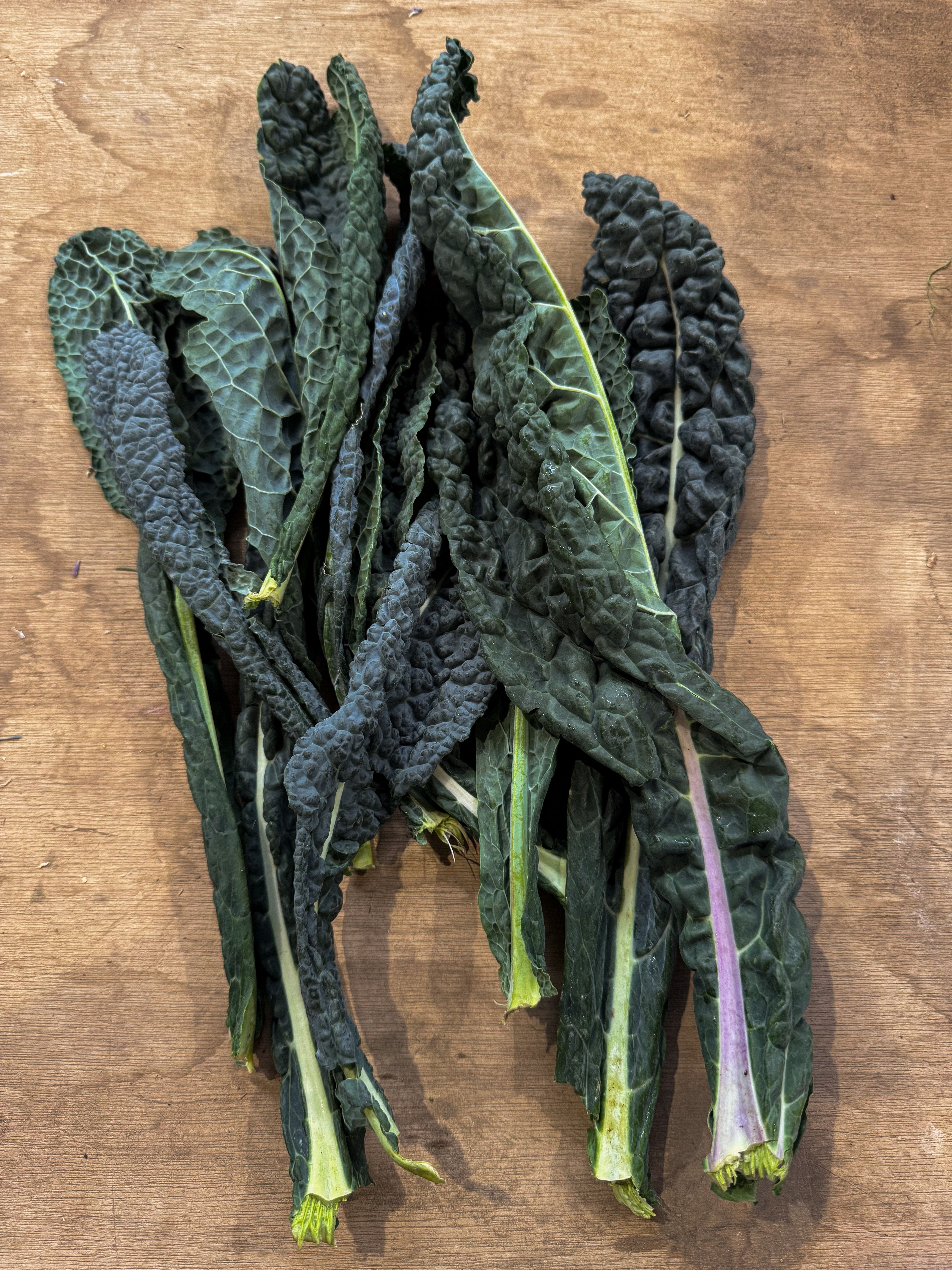 Cavolo Nero (Kale)