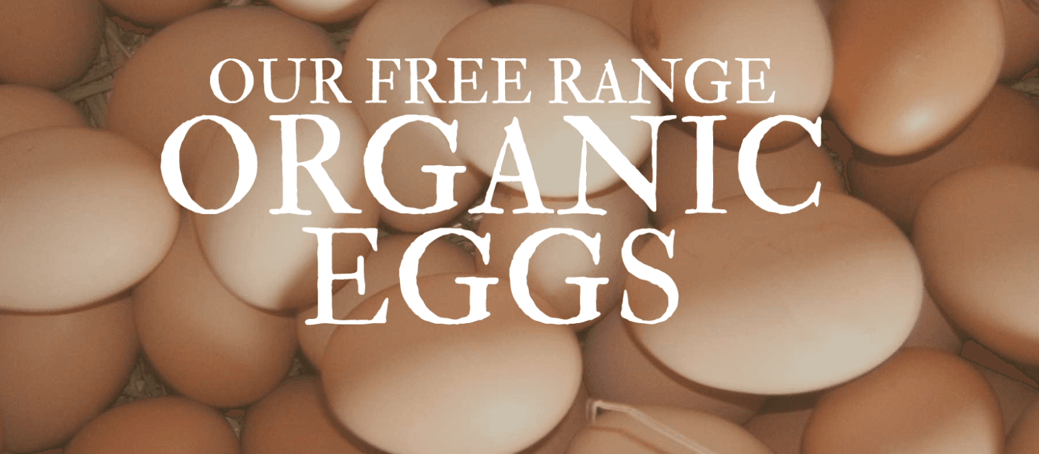Image of Eggs