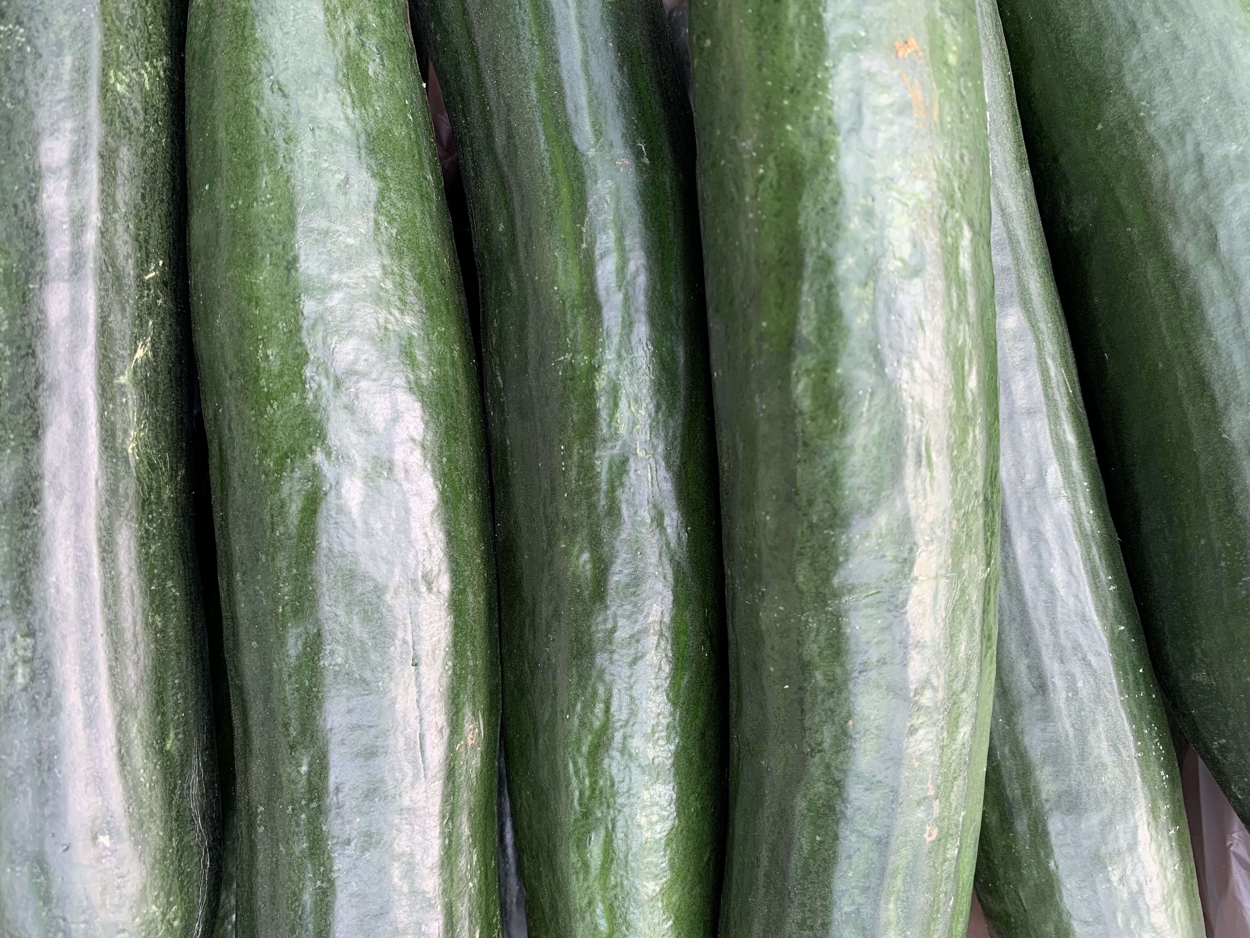 Cucumber