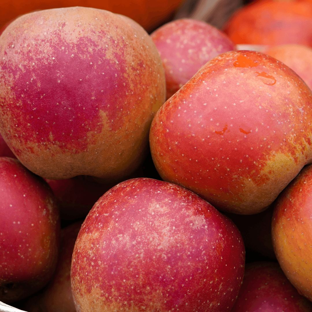 Discovery Apples (New Season)
