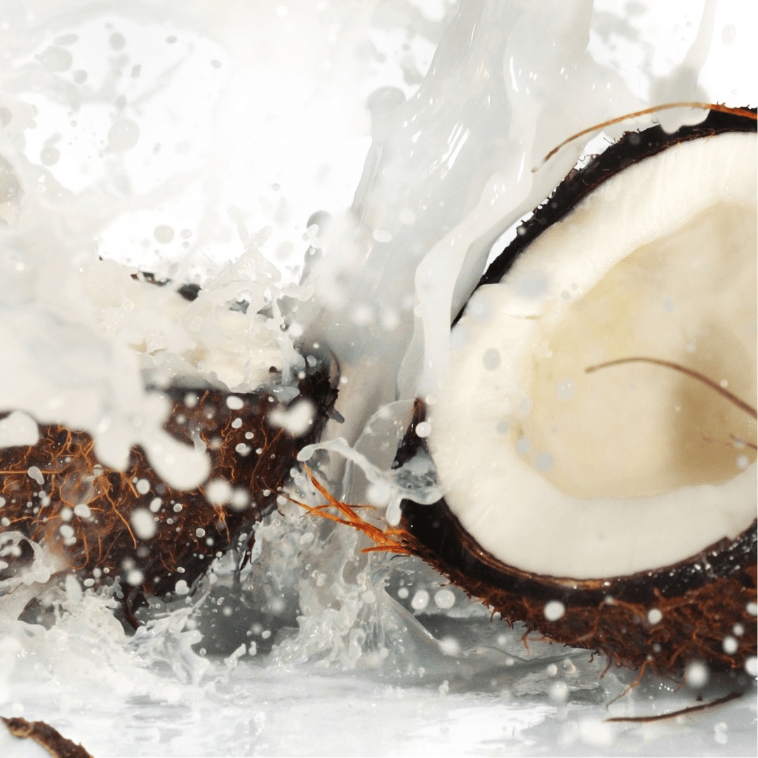 Image of Plenish Coconut Milk (Organic)