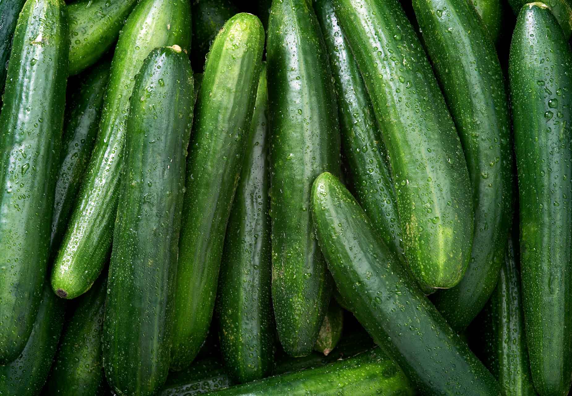 Image of Cucumber