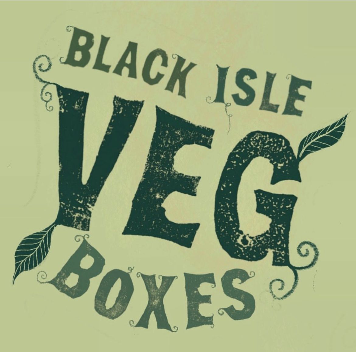 Black Isle Veg Boxes