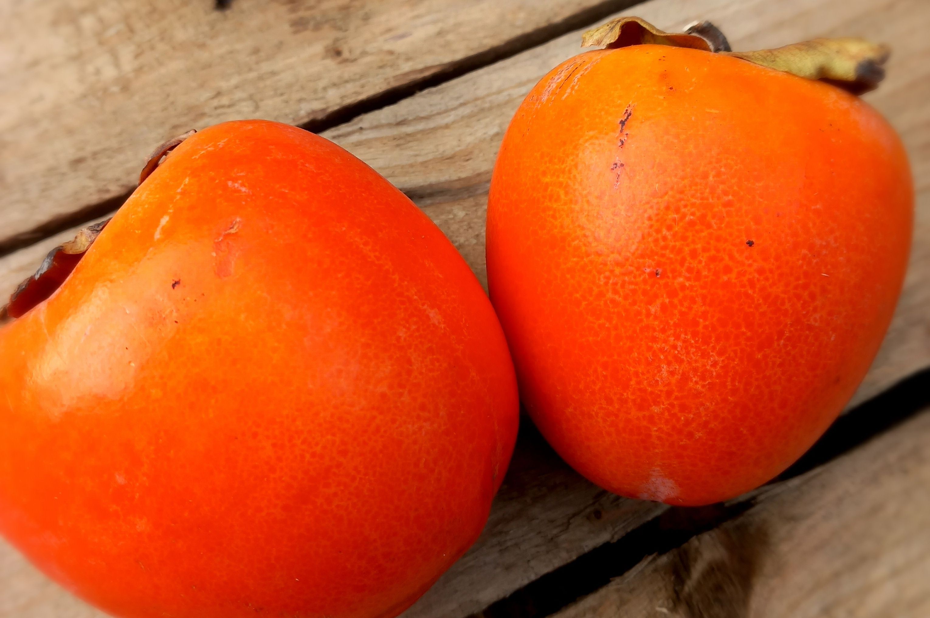 Image of Persimmon
