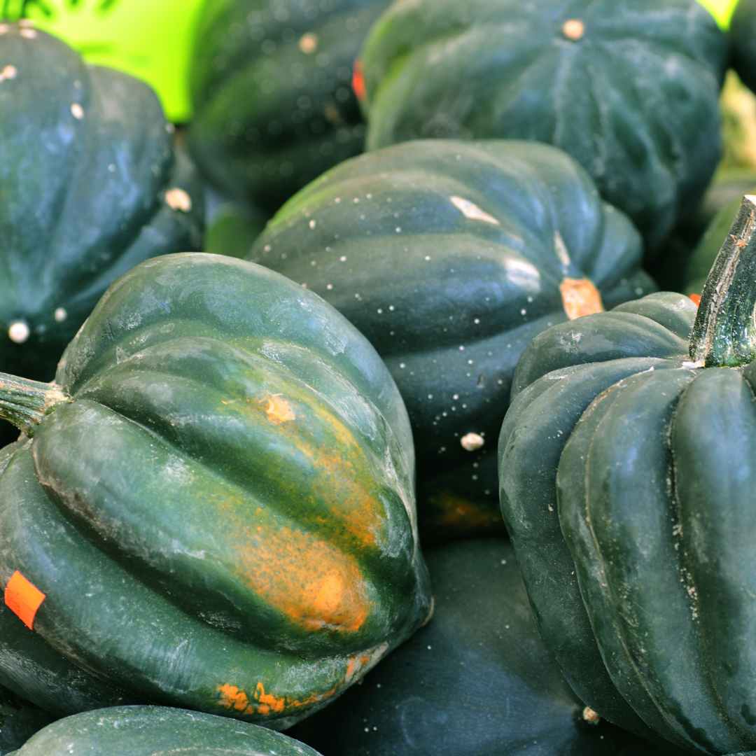 Image of Acorn Squash (Organic)
