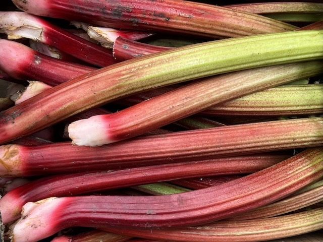 Rhubarb