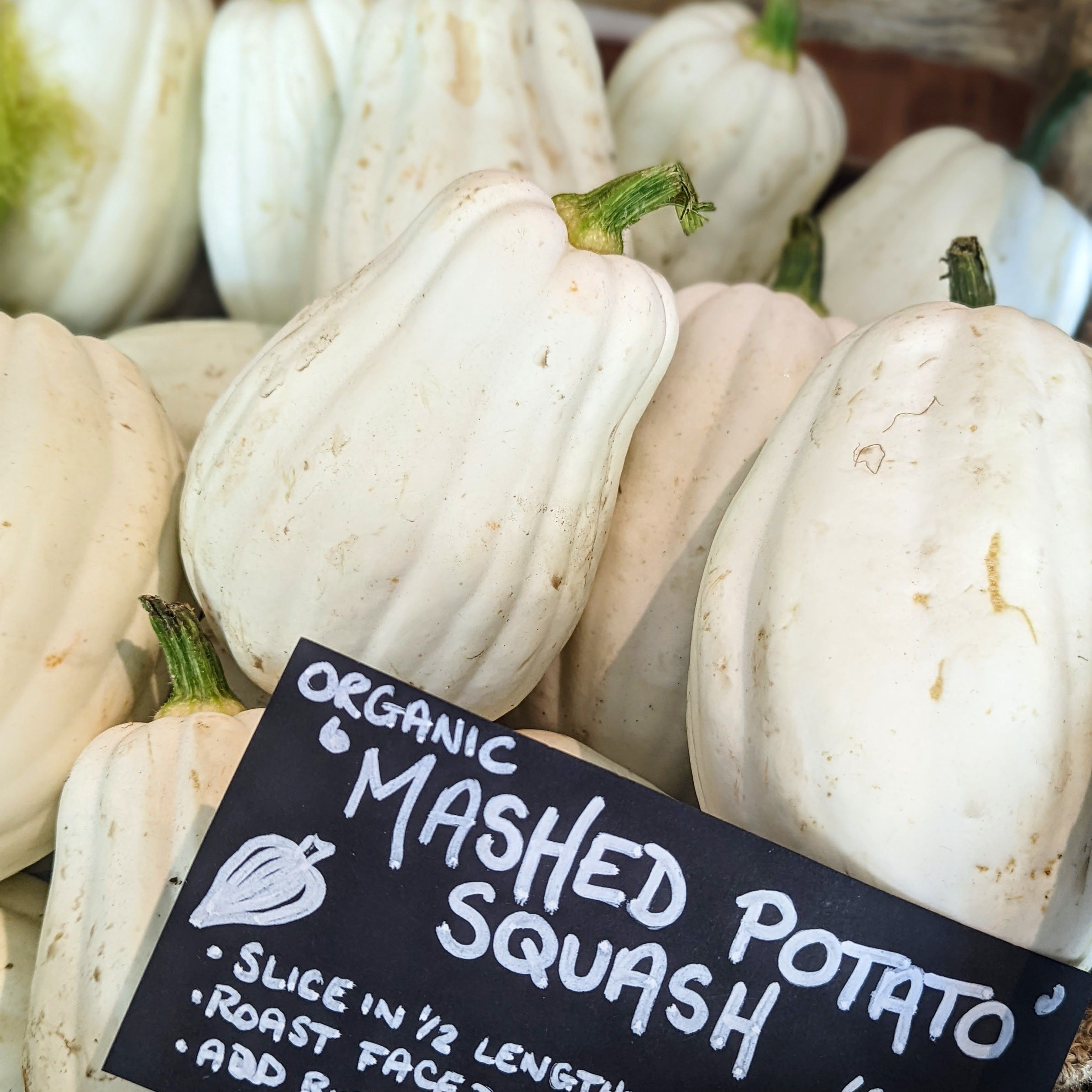 Mashed Potato Squash