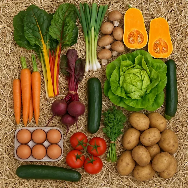 Large Cluck & Crop Box