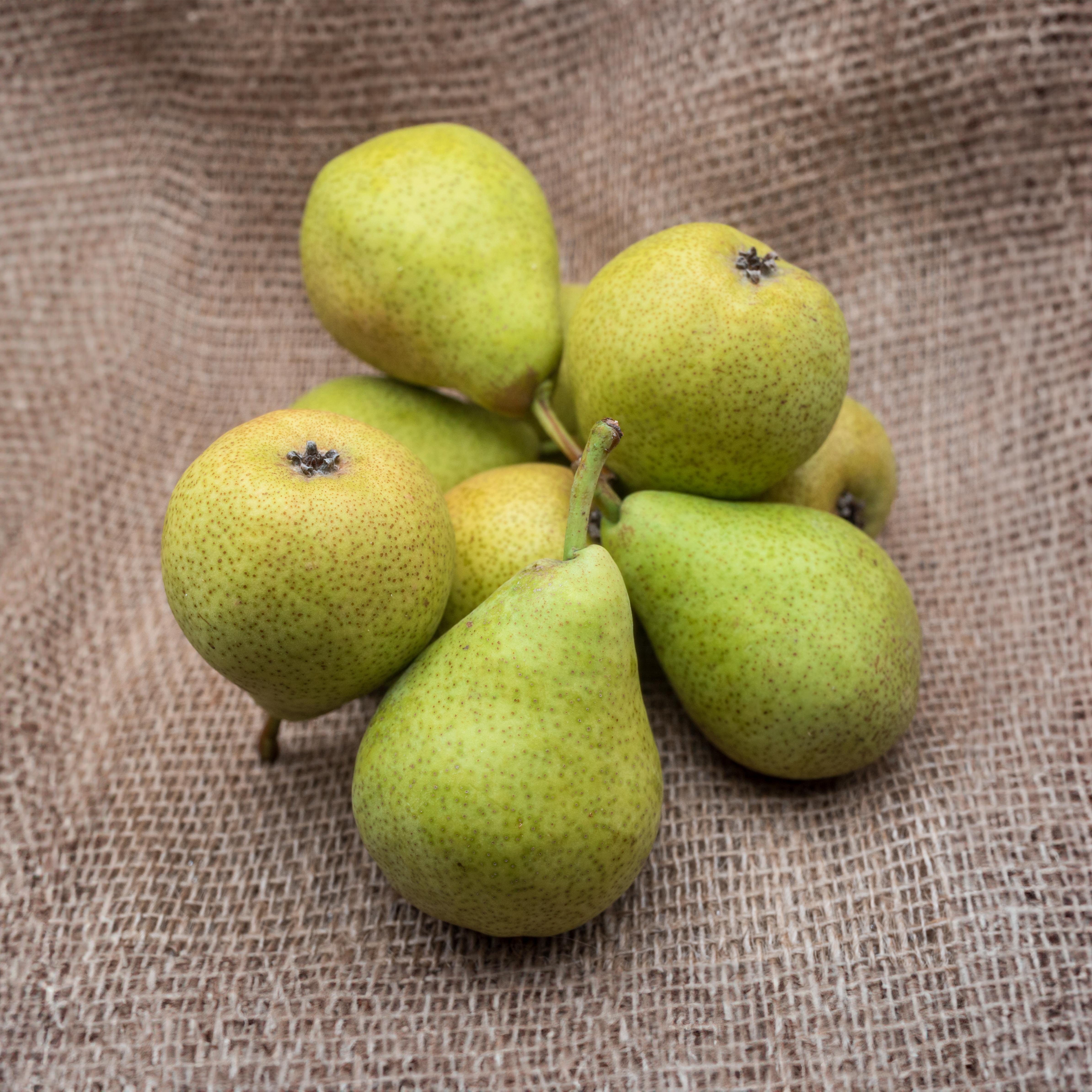 PYO Pears - William