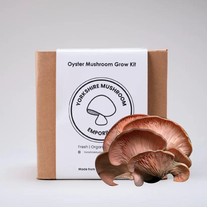 Image of Pink Oyster Mushroom Grow Kit