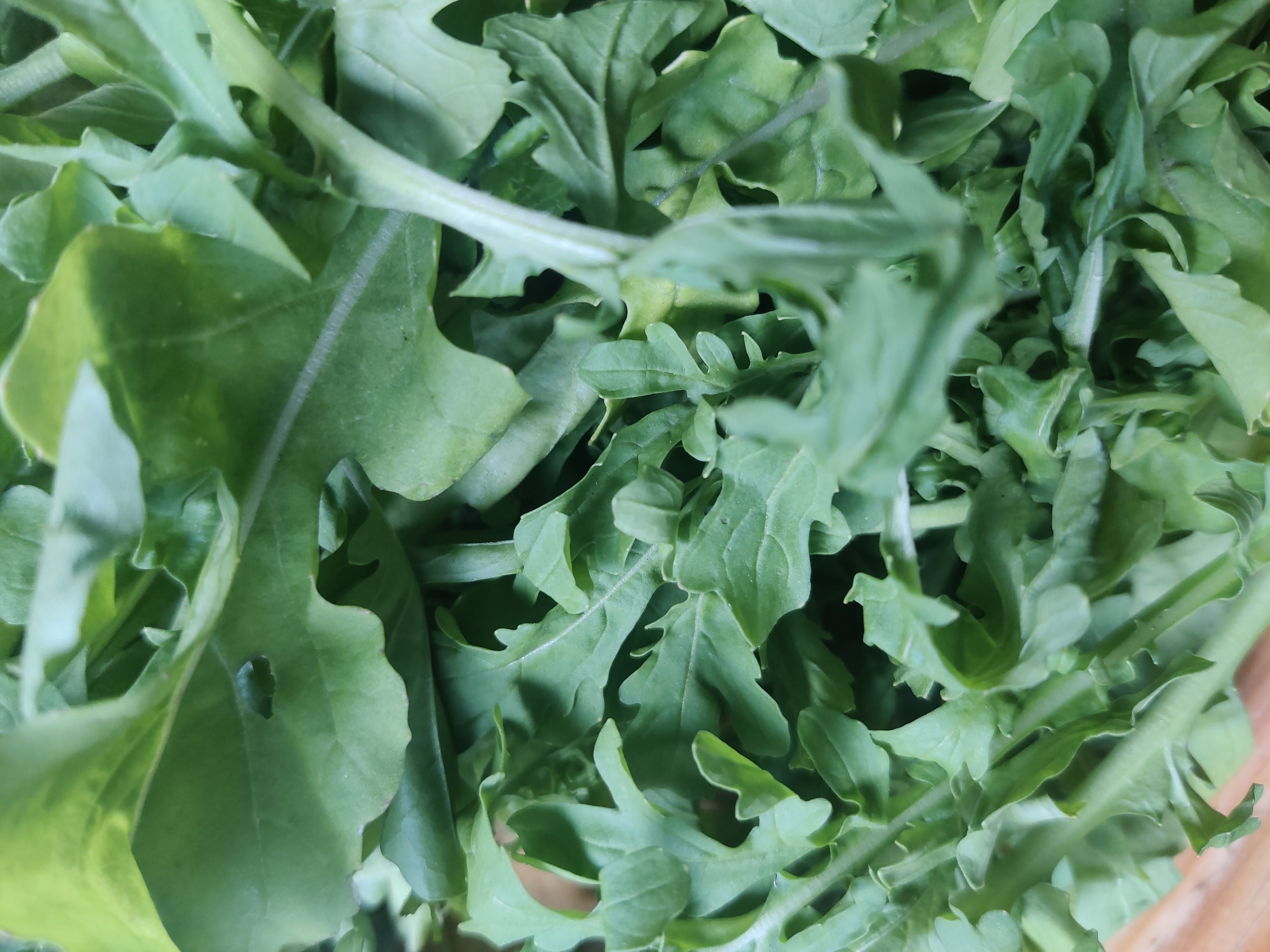 Image of Creamy Sausage and Rocket Pasta