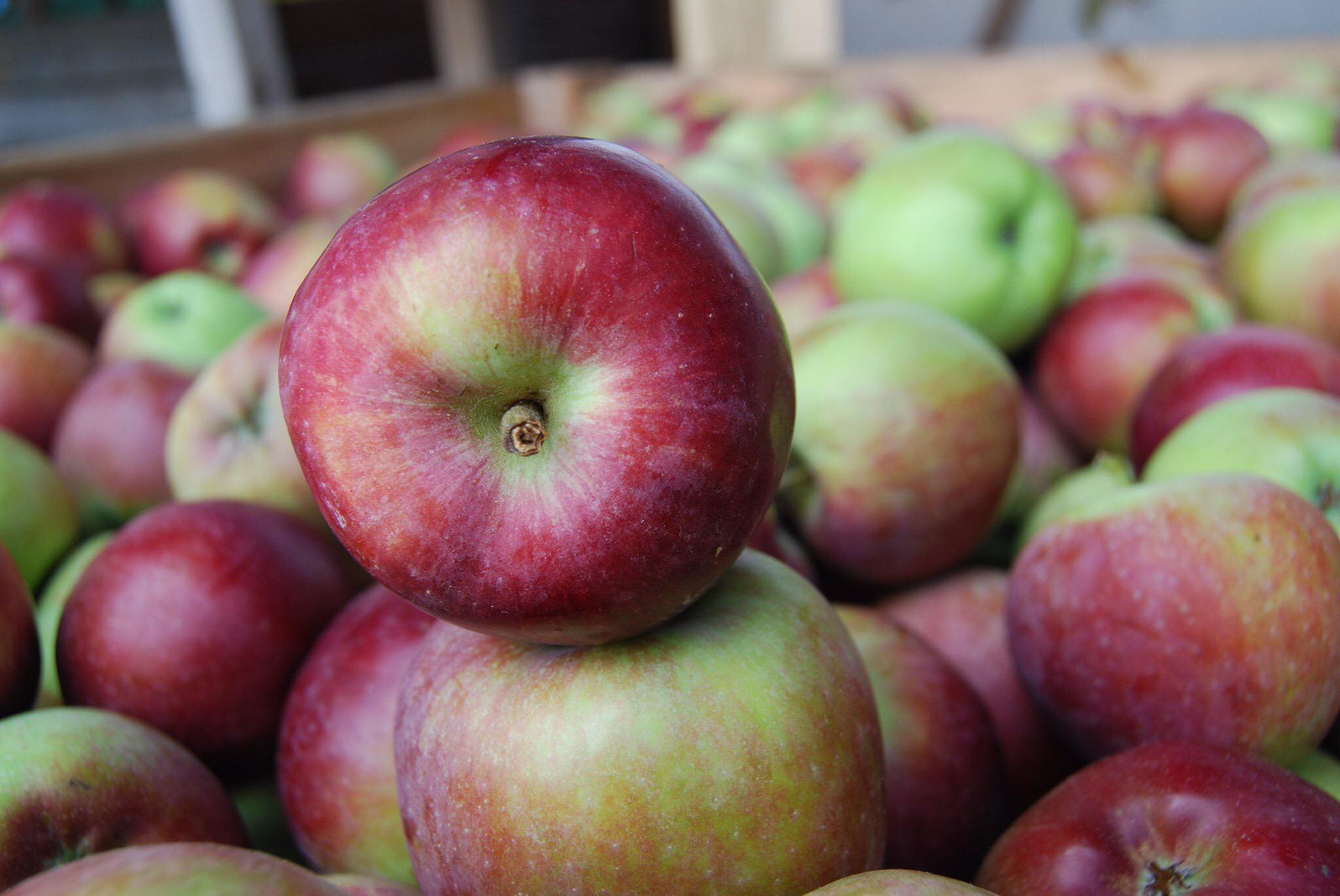 Apples - Braeburn
