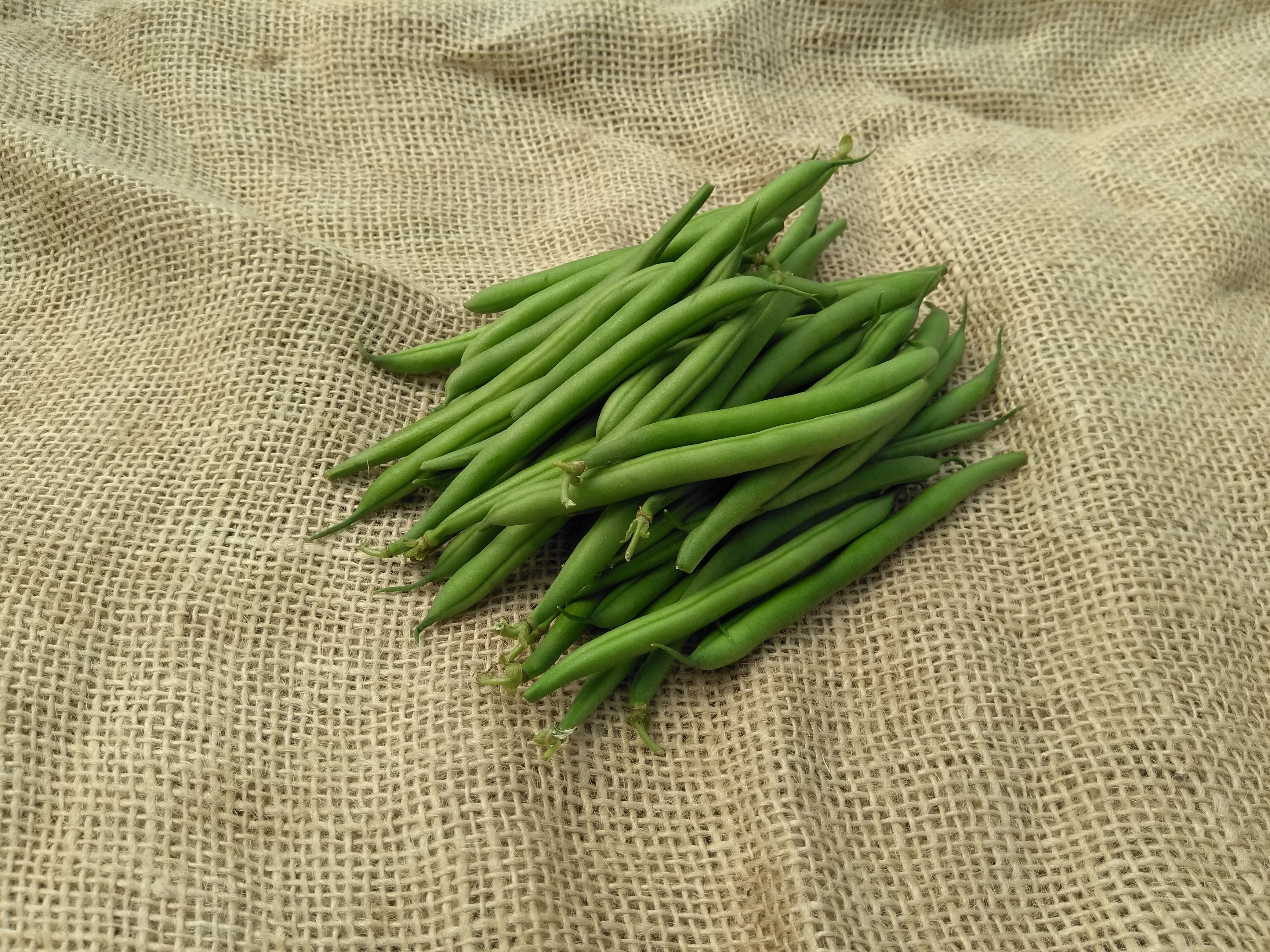 Image of Fennel and French Bean Salad