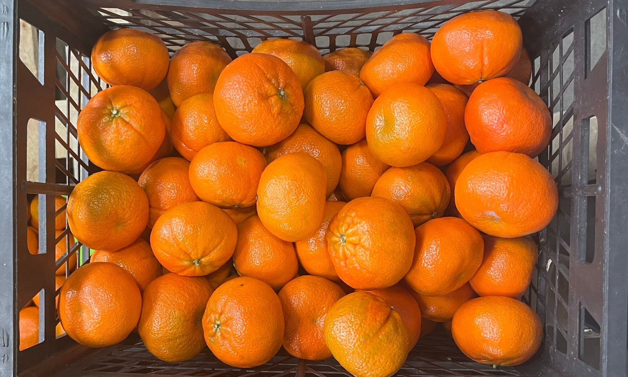 Image of Clementines