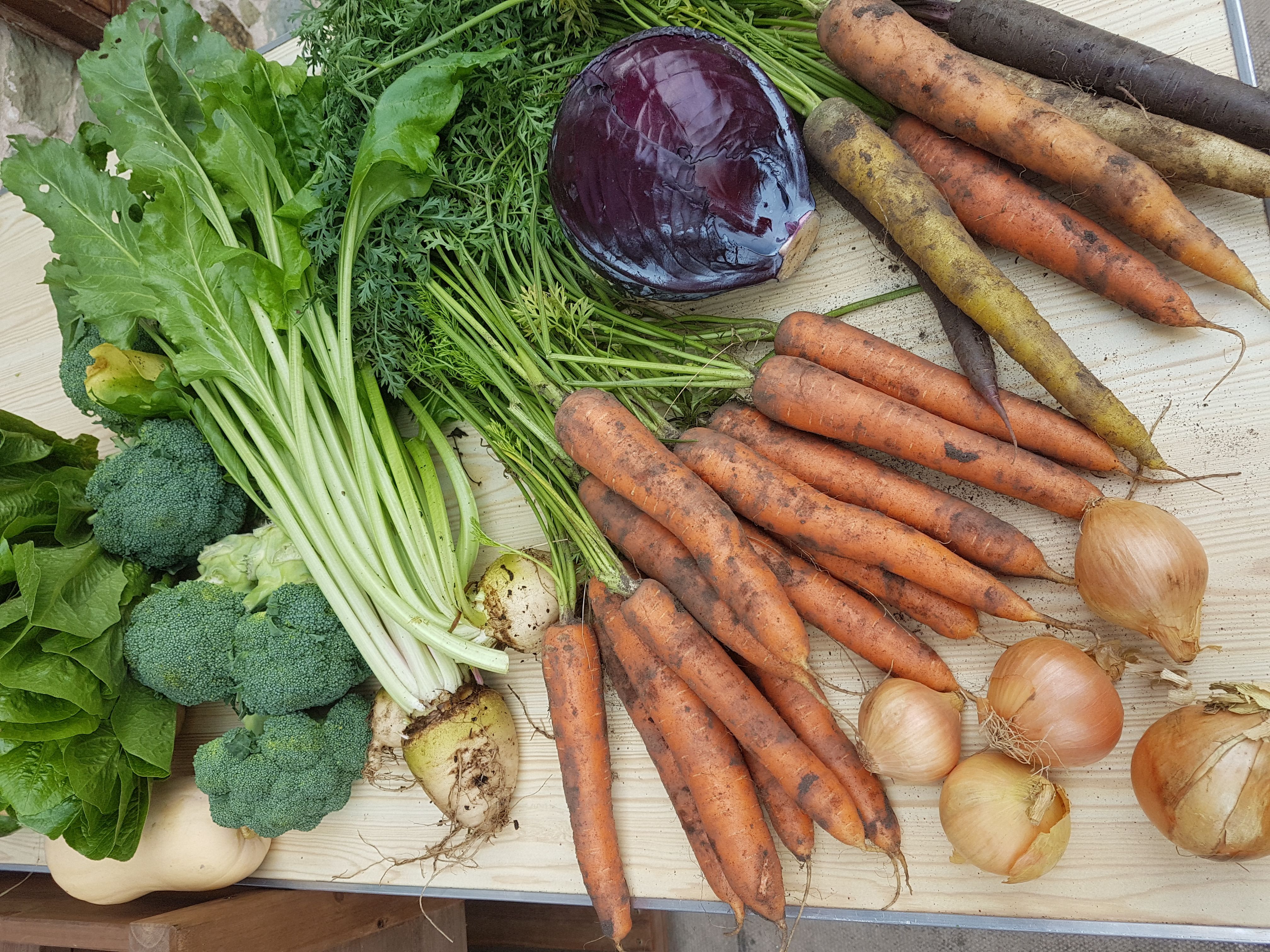 Image of SHROPSHIRE ORGANICS