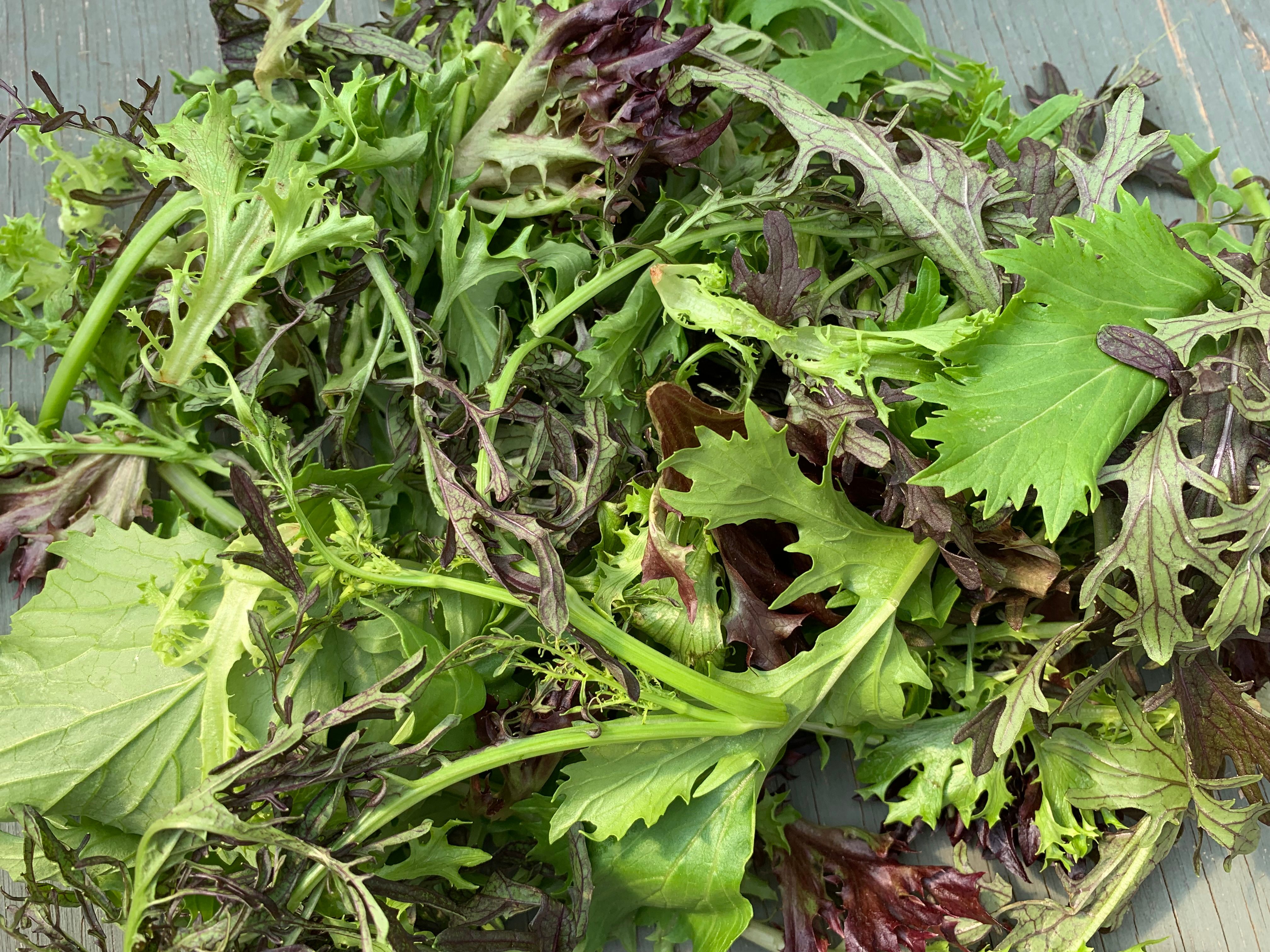 Salad