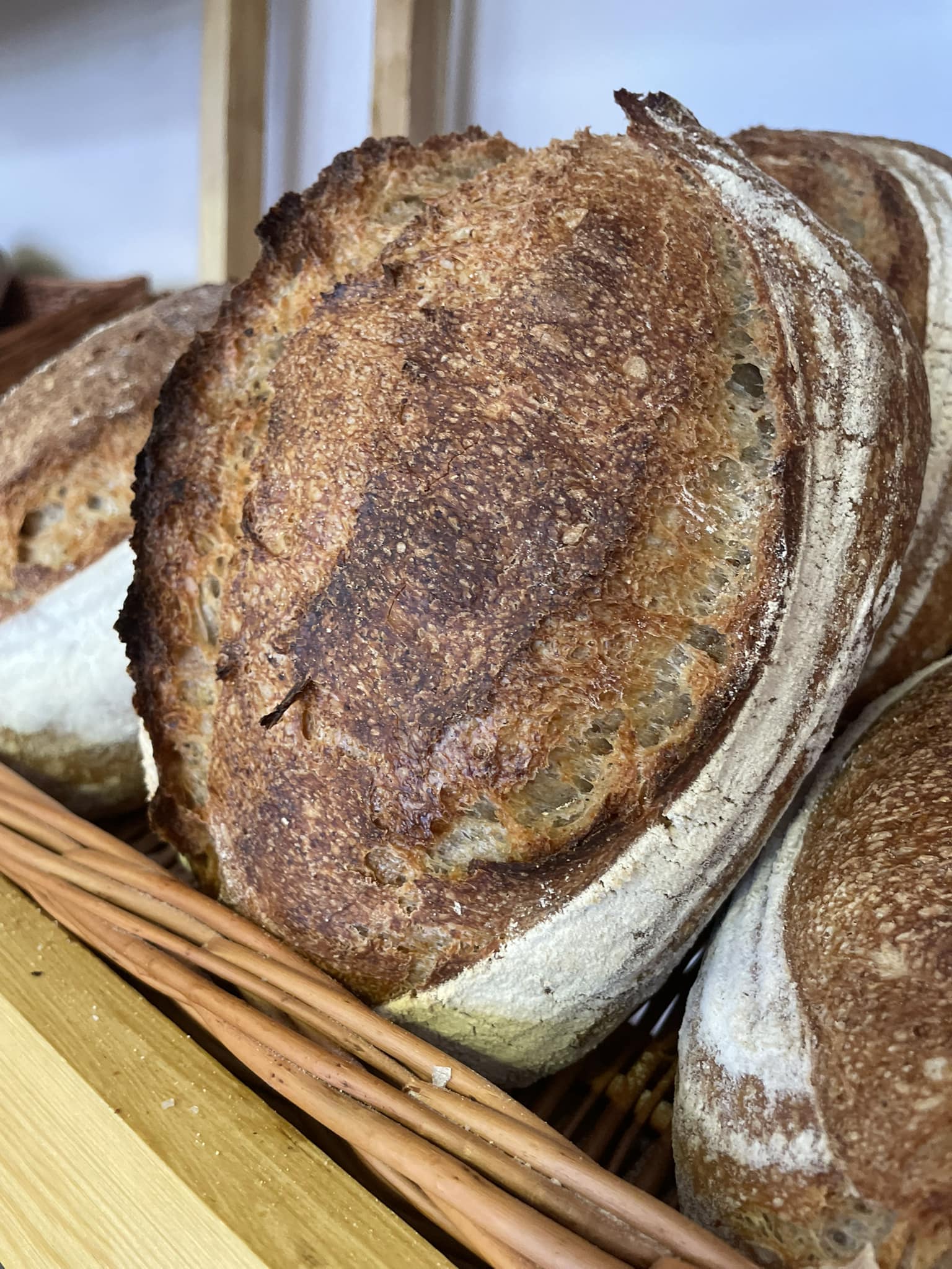 Country Sourdough: Christmas Week (Katka's Bakehouse)
