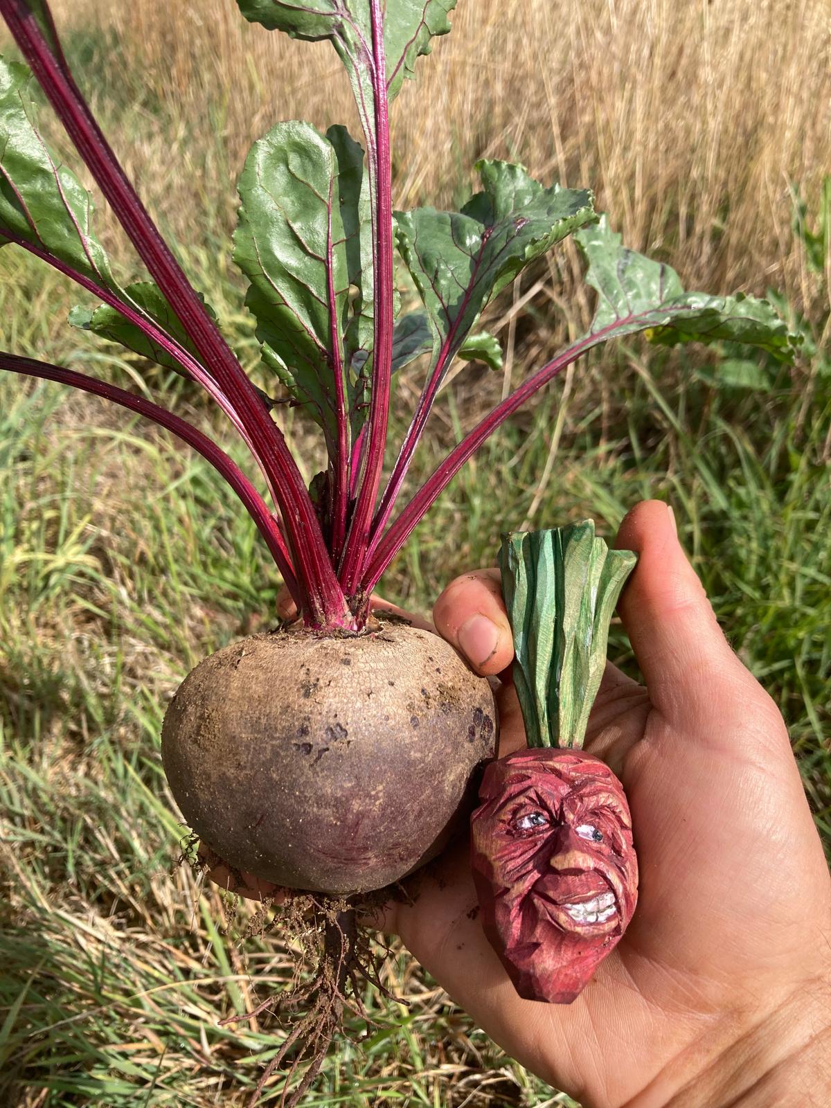 Beetroot