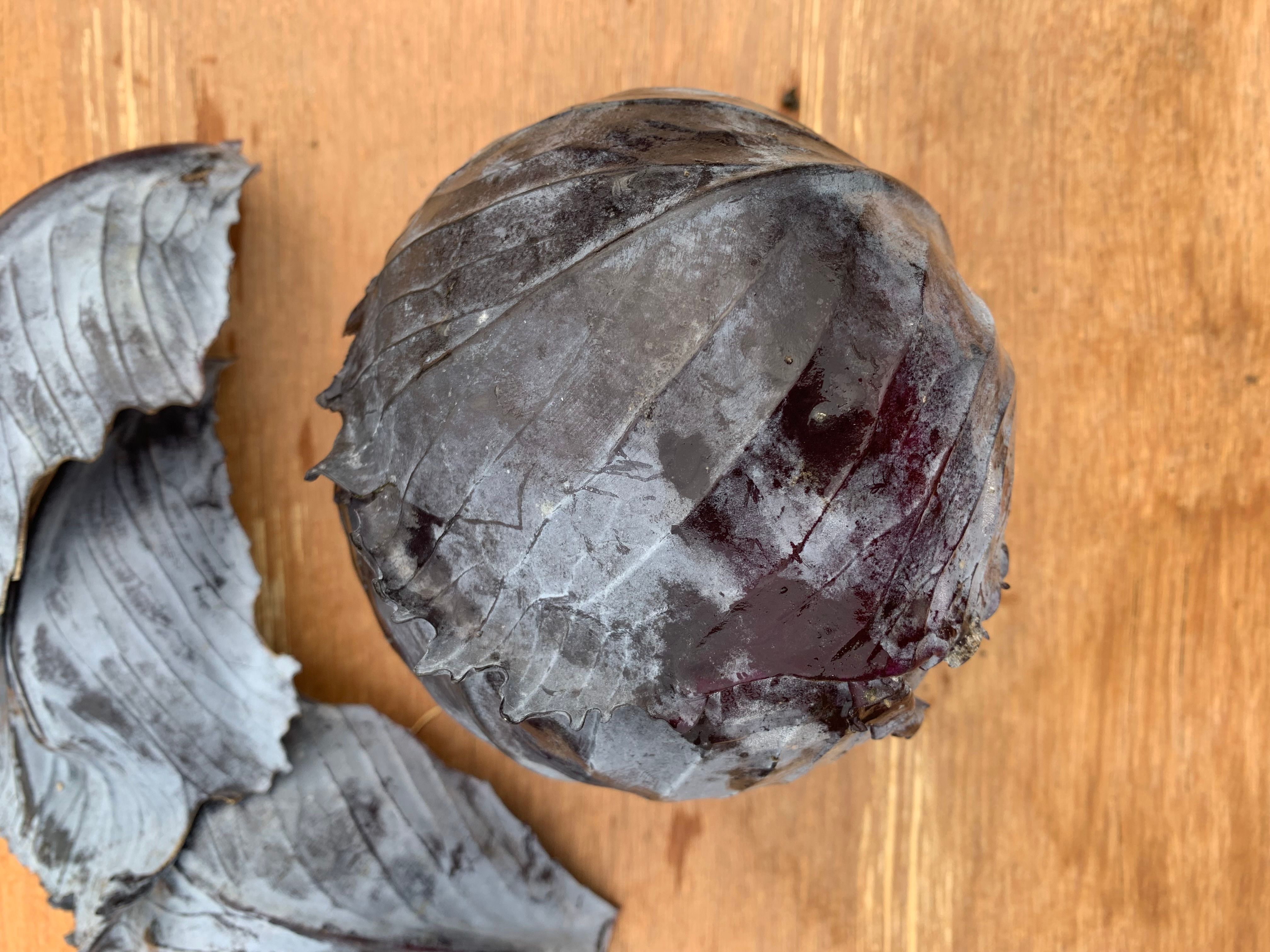 Image of Red Cabbage