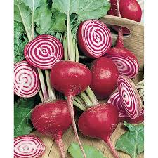 PYO Beetroot - Chioggia