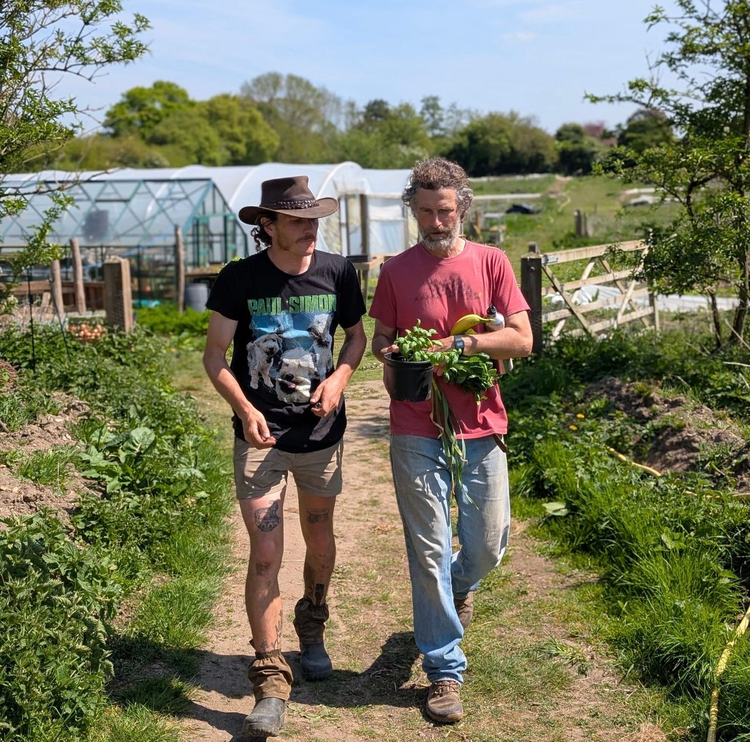 Image of Want to chat?