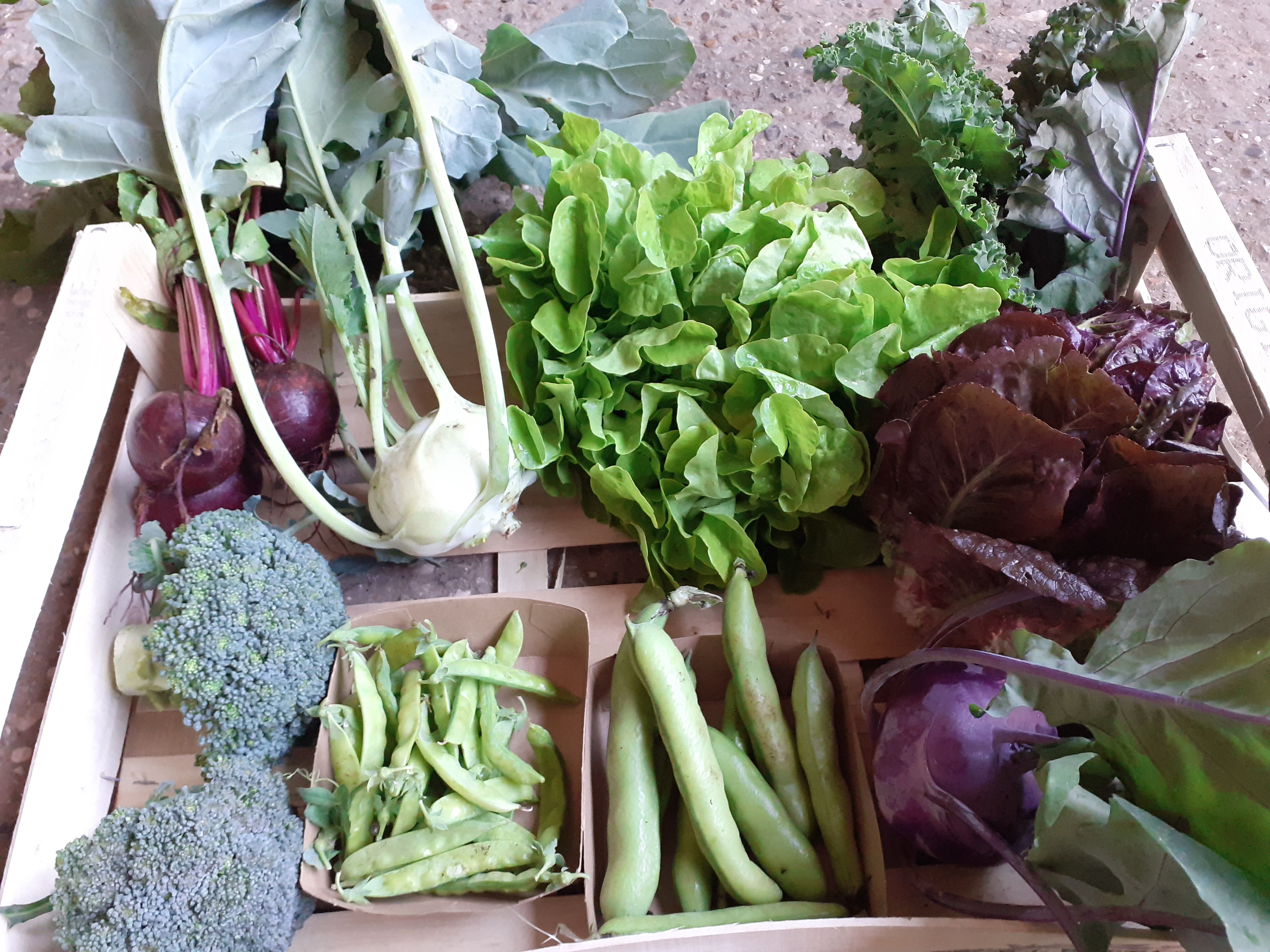 Image of How ordering and delivery works