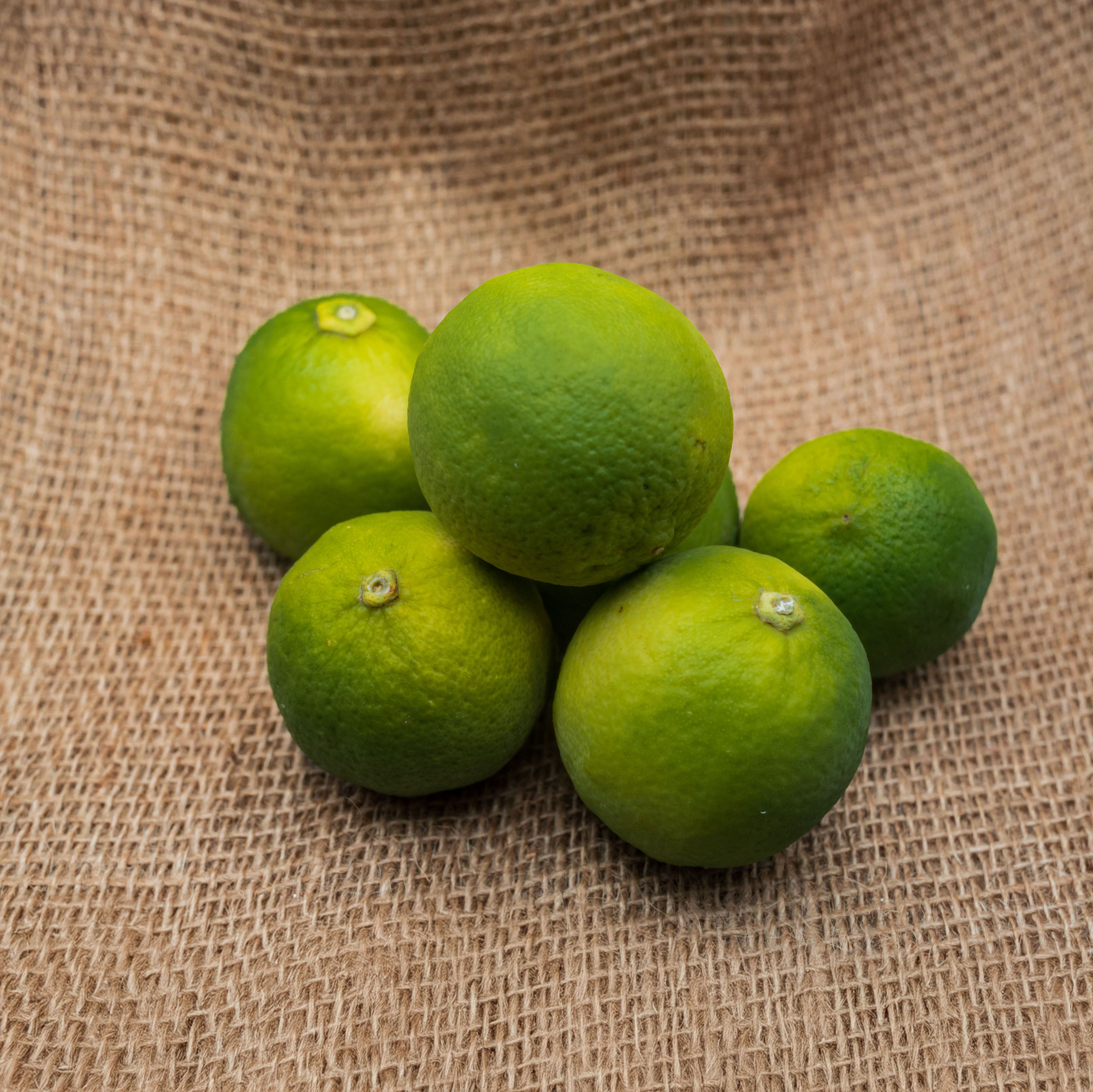 PYO Limes