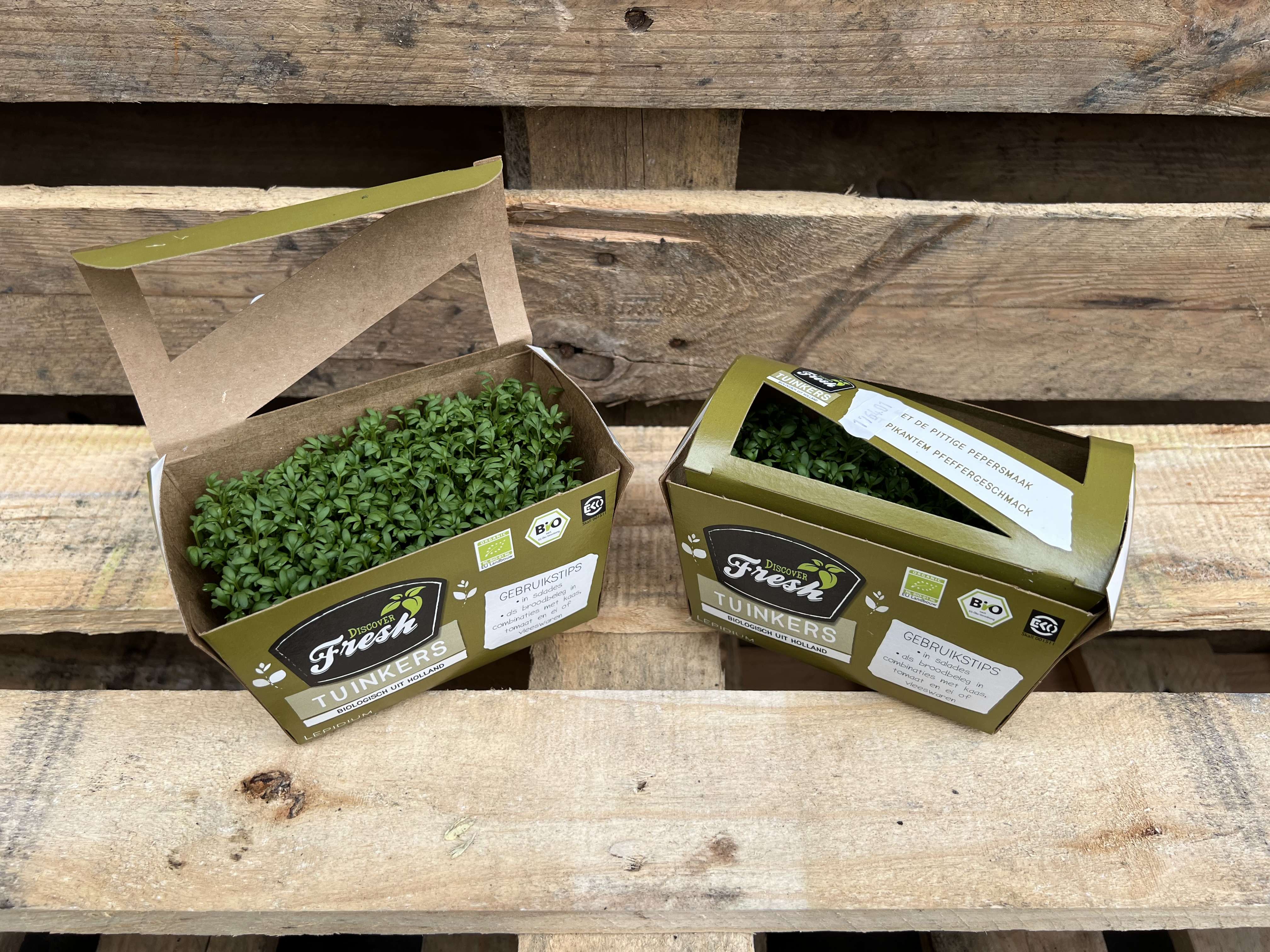 Living Cress Garden - Leeds Veg Box