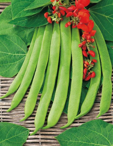 Runner beans