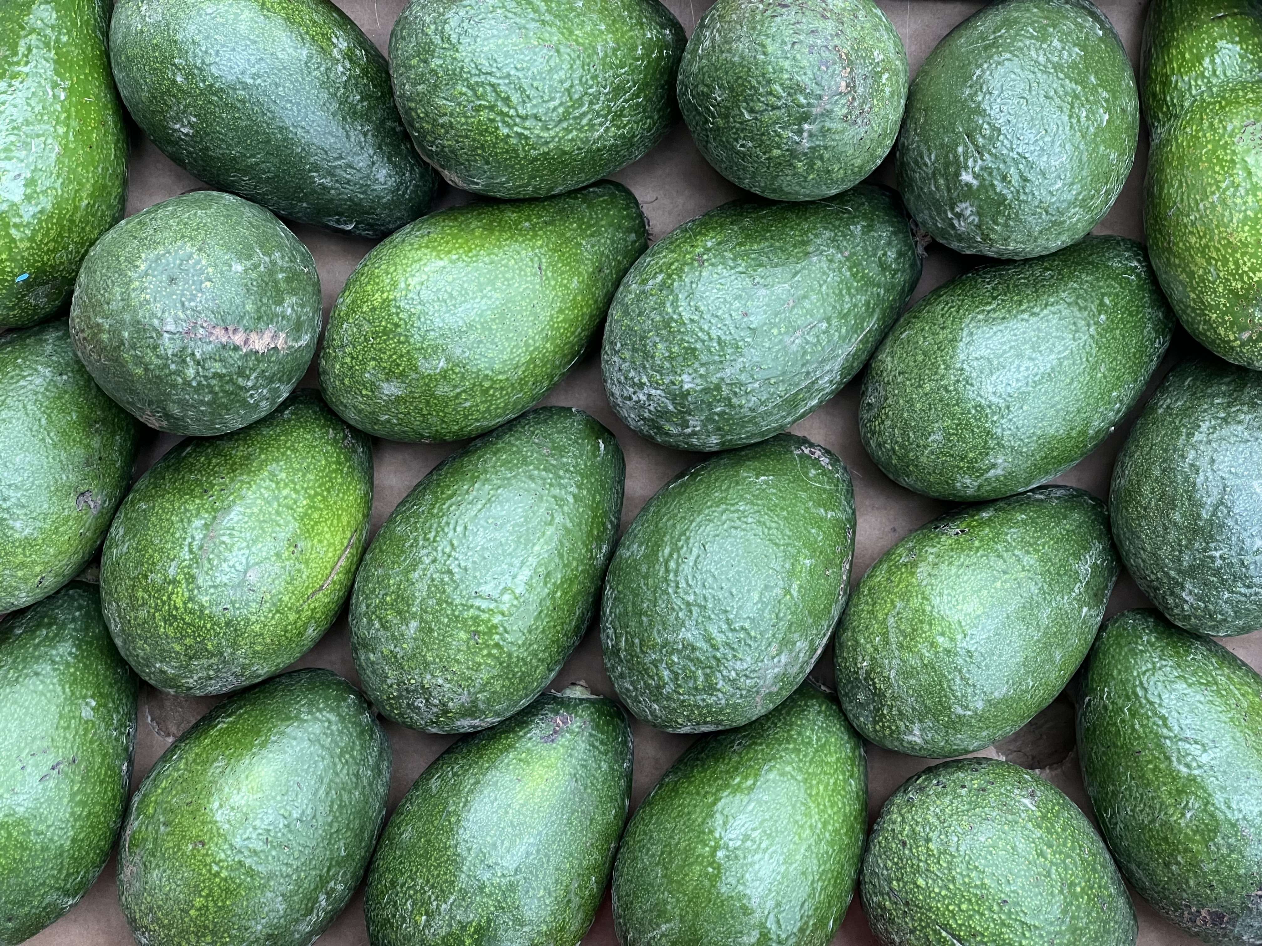 Image of Privacy Policy